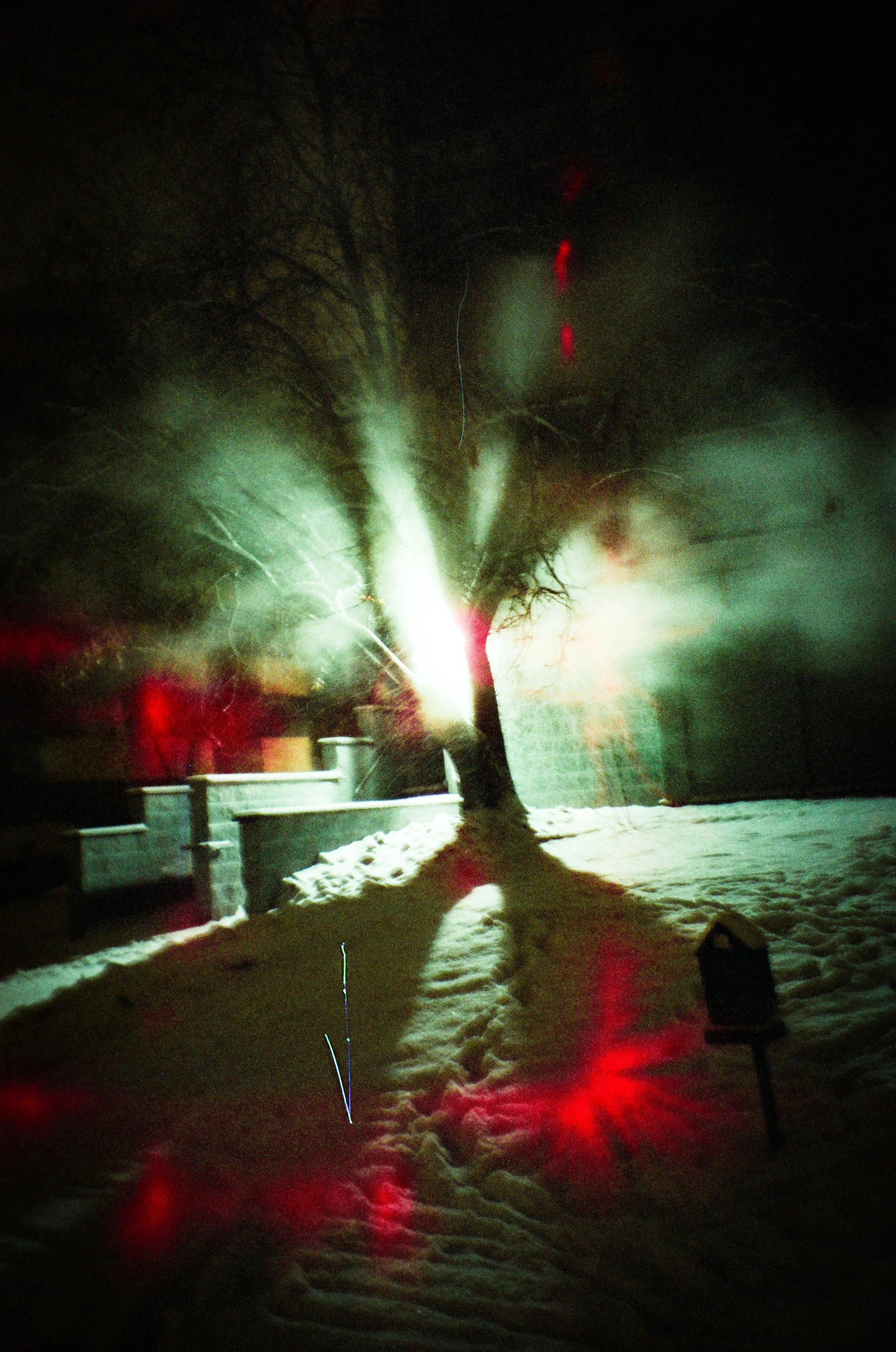 late-feb-2025-film-edited-151 7.JPG