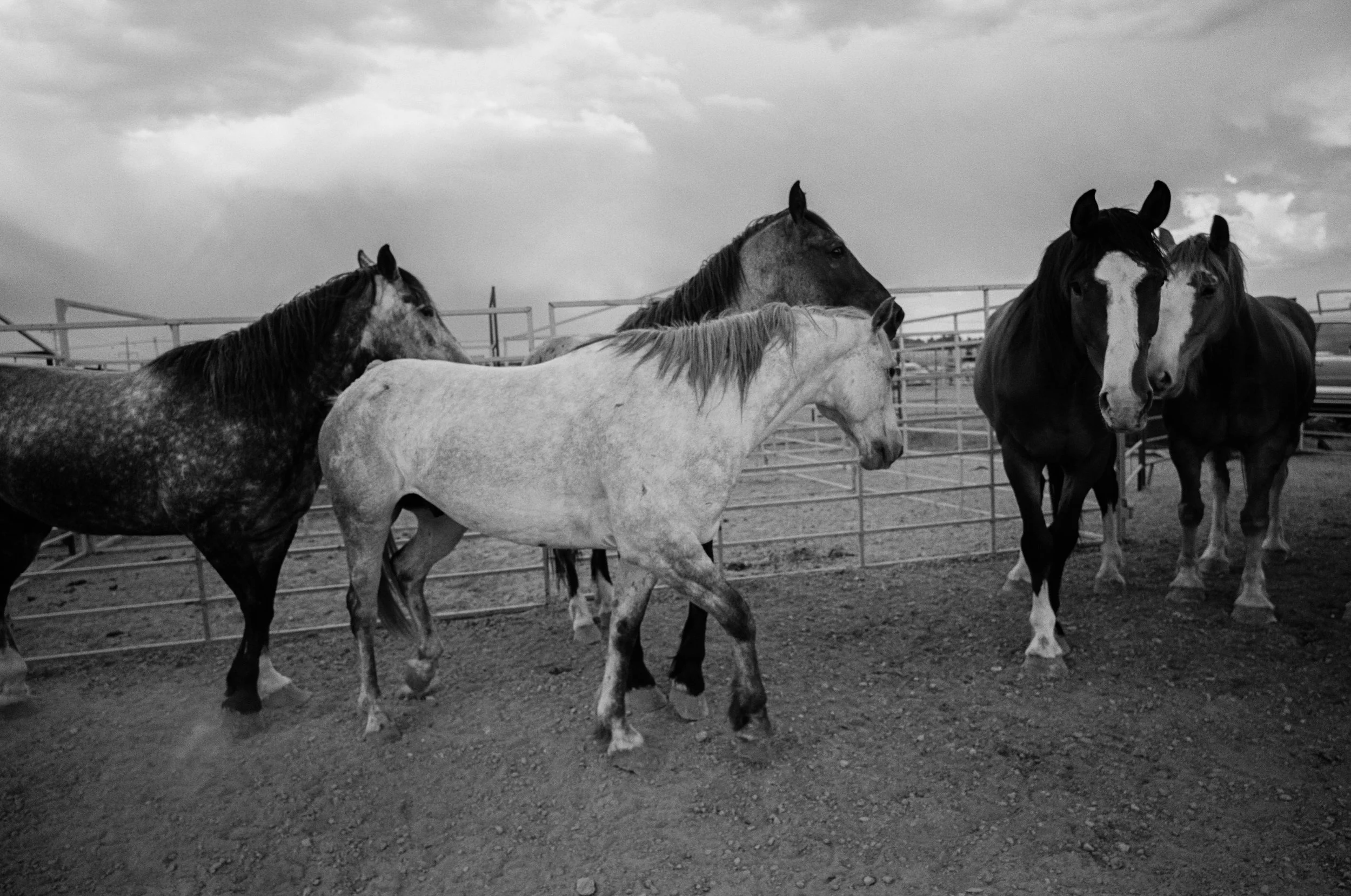 06-14-2025-chugwaterroundup-23 4.JPG