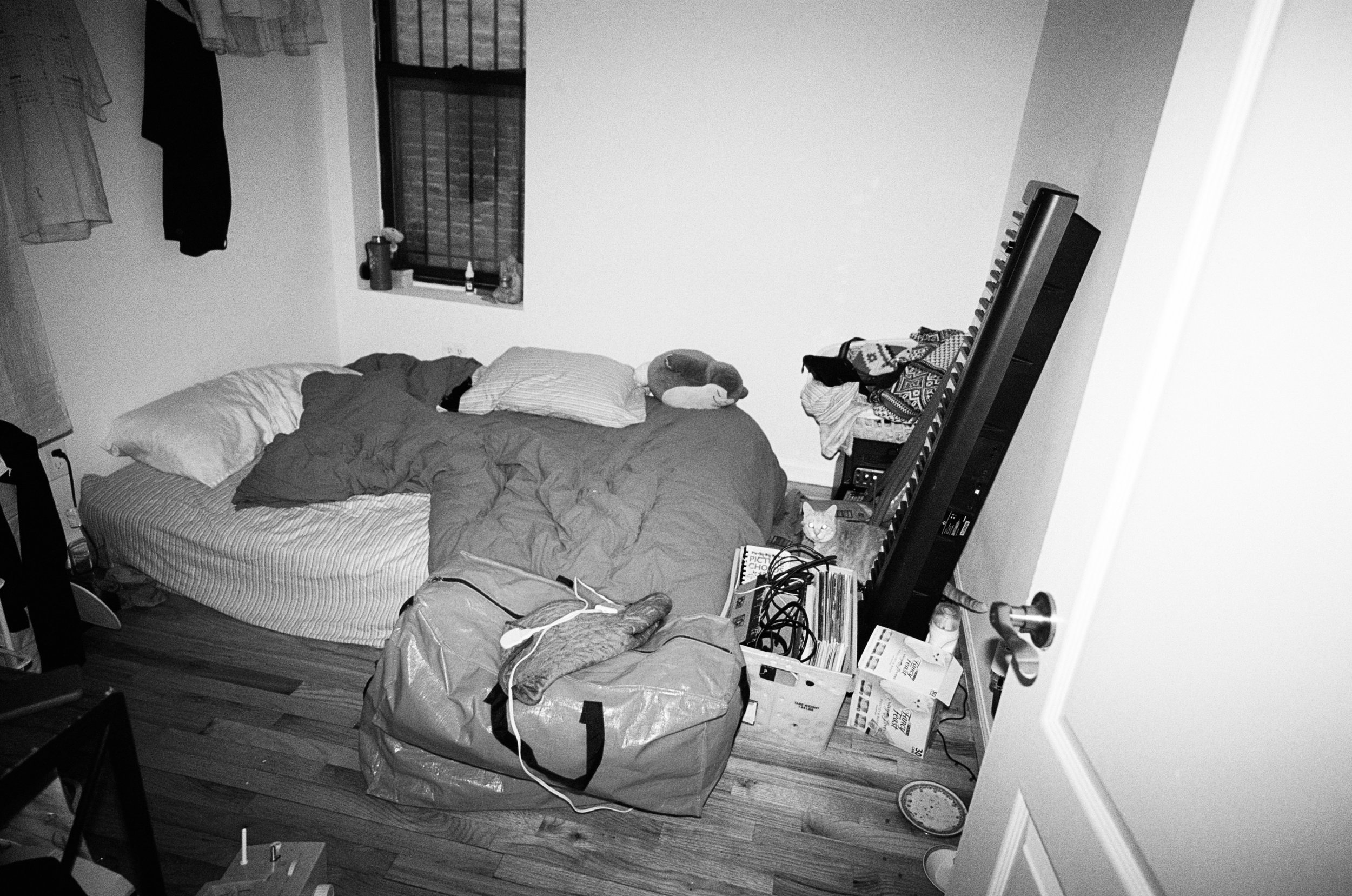 film-jan-feb-2026-edited-56 3.jpg