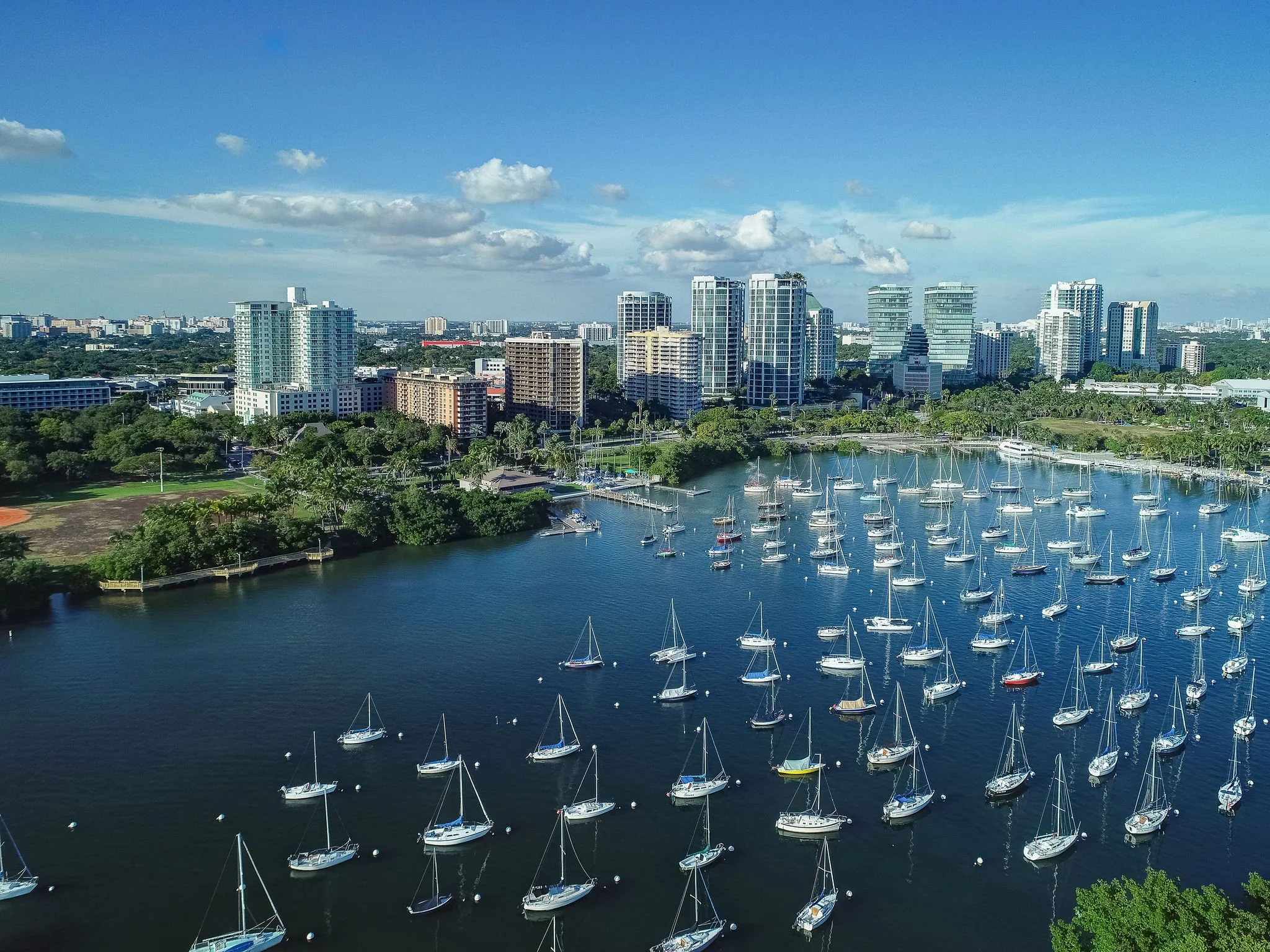 WEB - COCONUT GROVE.jpg