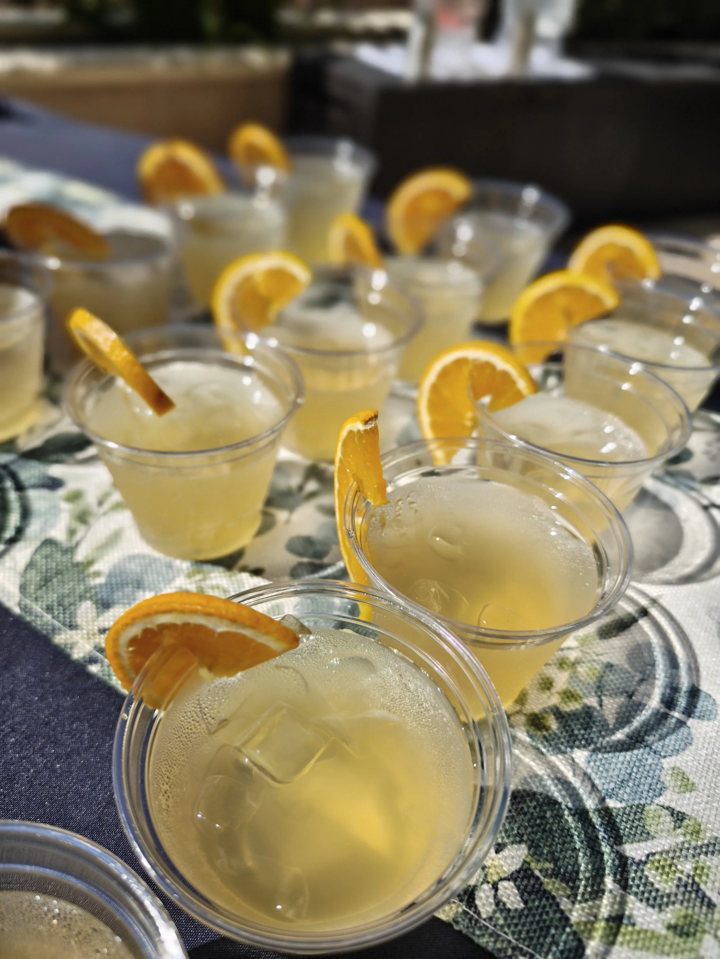 Whiskey Highball