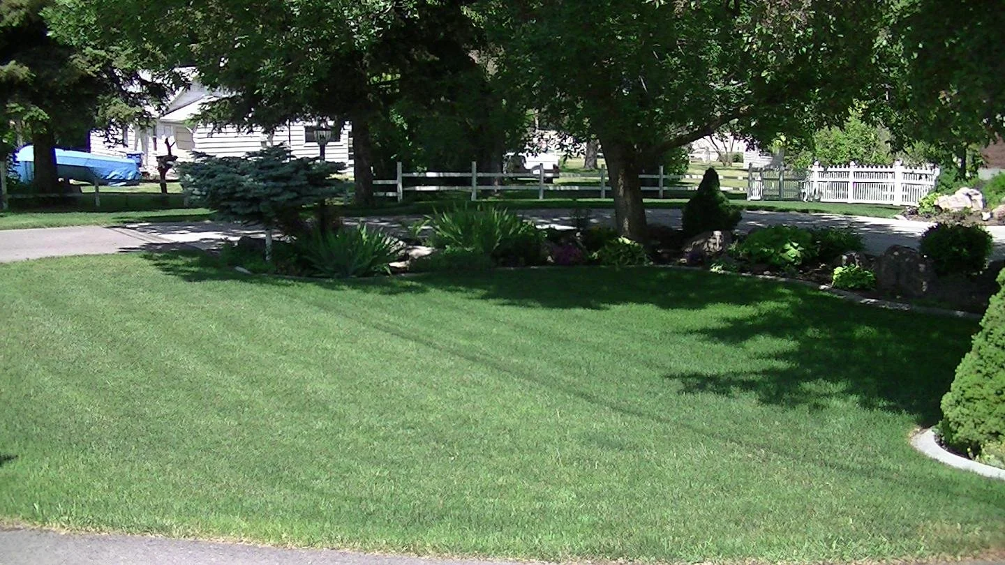 A neatly maintained front yard with a green lawn, trees, bushes, and a small garden bed surrounded by rocks. A white picket fence can be seen in the background.