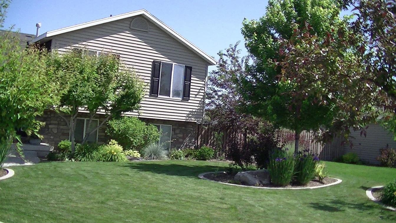 A well-maintained backyard garden with lush green grass, a variety of trees and shrubs, and a two-story house with beige siding and black shutters in the background.