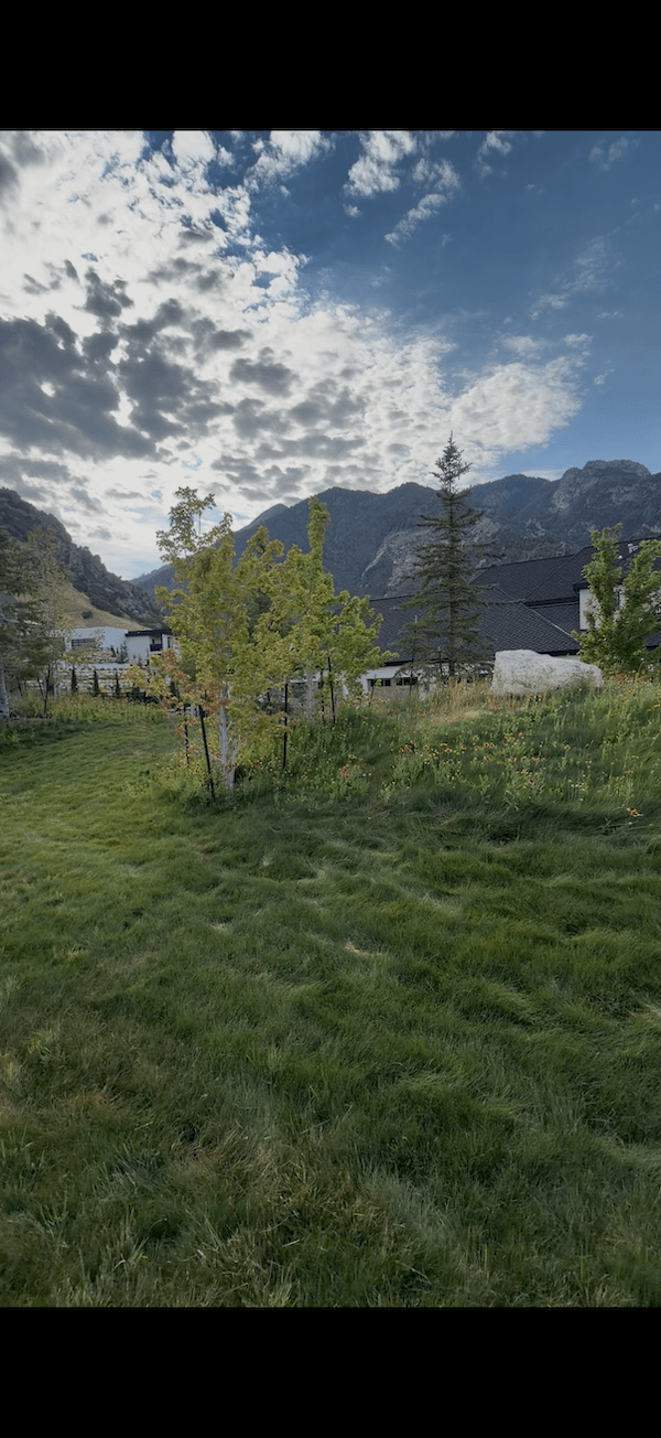 A scenic mountain landscape with a grassy foreground, trees, and a small building, under a partly cloudy sky.