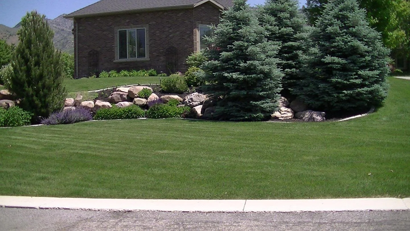 Well-maintained front yard with green grass, small shrubs, and tall evergreen trees in front of a brick house, with mountain scenery in the background.