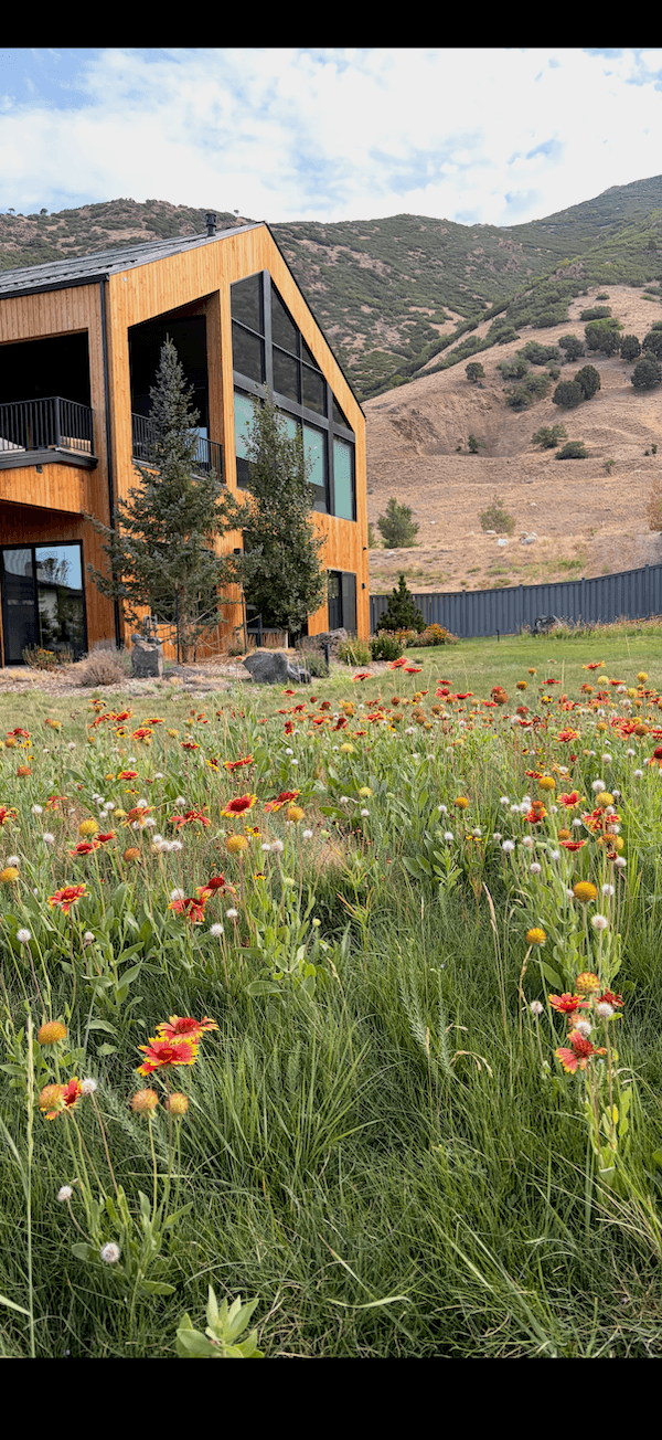 A modern wooden house with large windows and a balcony in a scenic mountain setting. The foreground features a field of wildflowers, including red and yellow blooms, and there are hills with sparse vegetation in the background.
