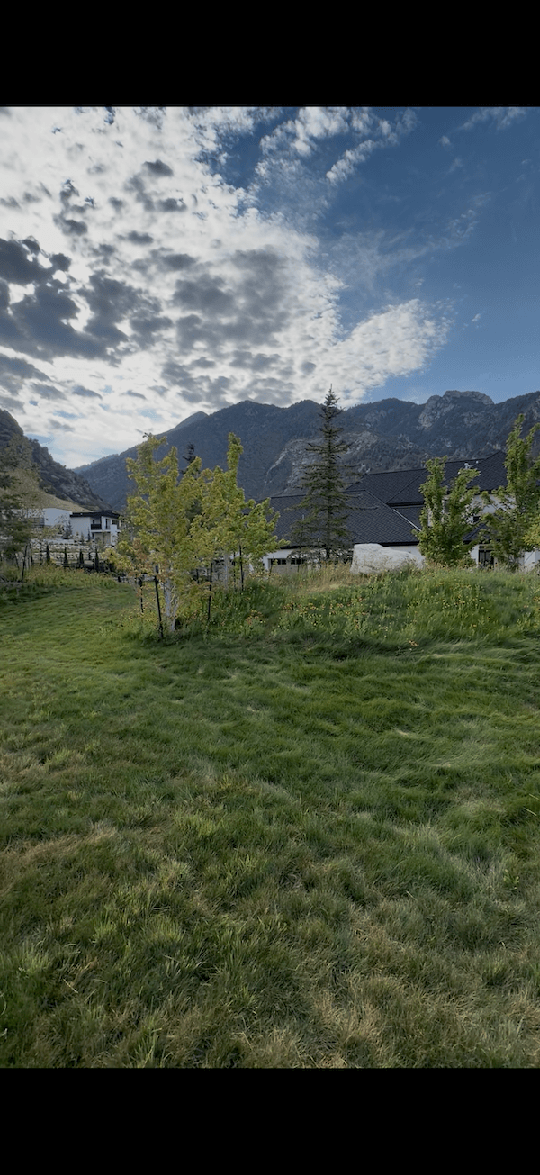 Green field with a few trees, some houses with pitched roofs, and mountains in the background under a partly cloudy sky.
