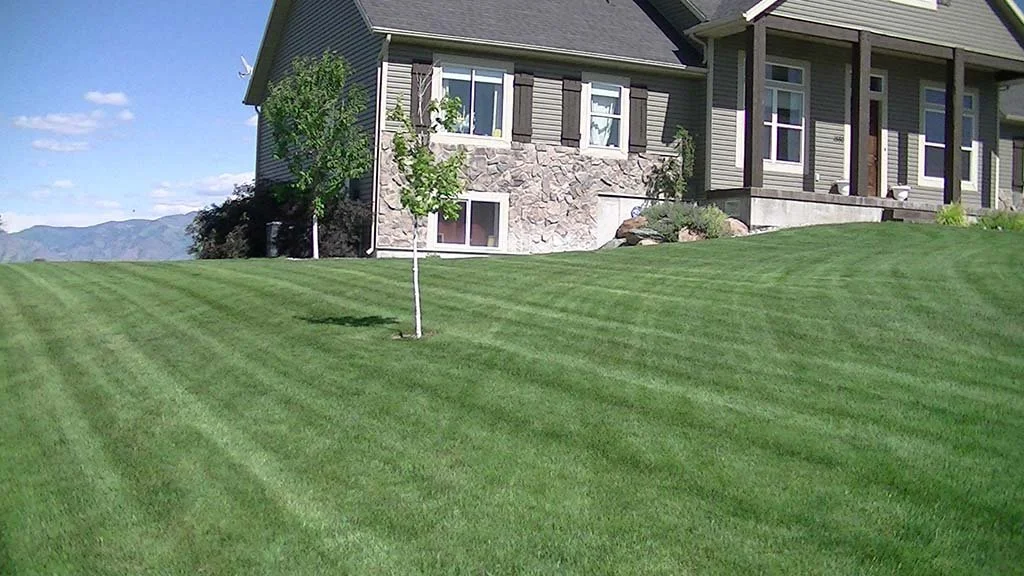 A suburban house with a stone and siding exterior, a front porch, and a well-maintained grassy lawn with striped mowing pattern and a small tree in the yard.