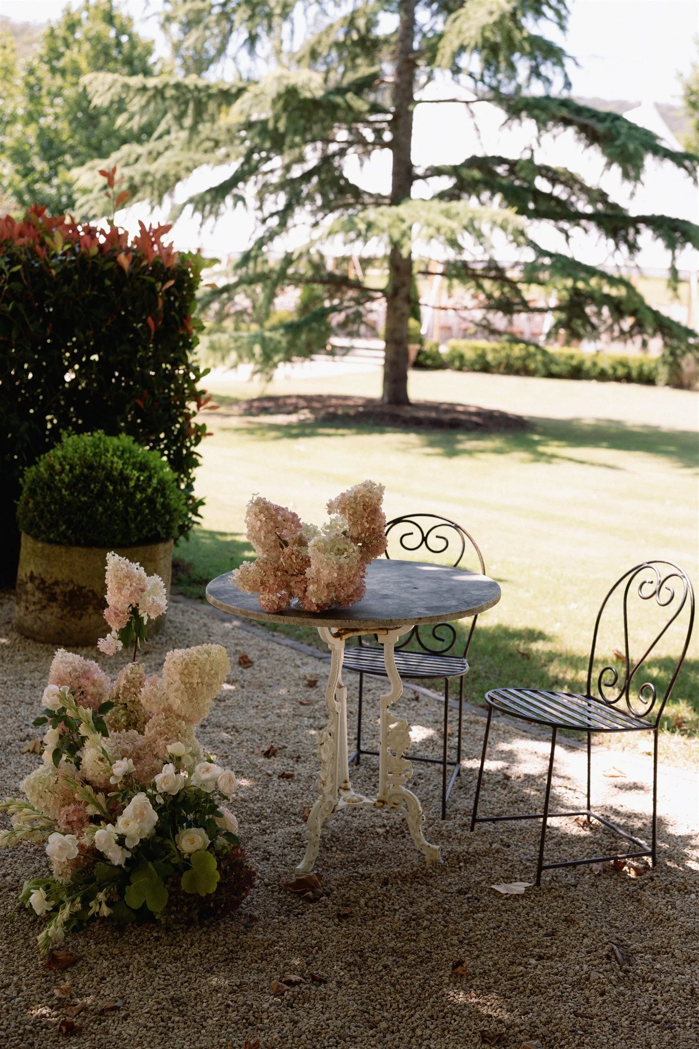 Summer Spritz for Tess and Ben - Redleaf Wollombi