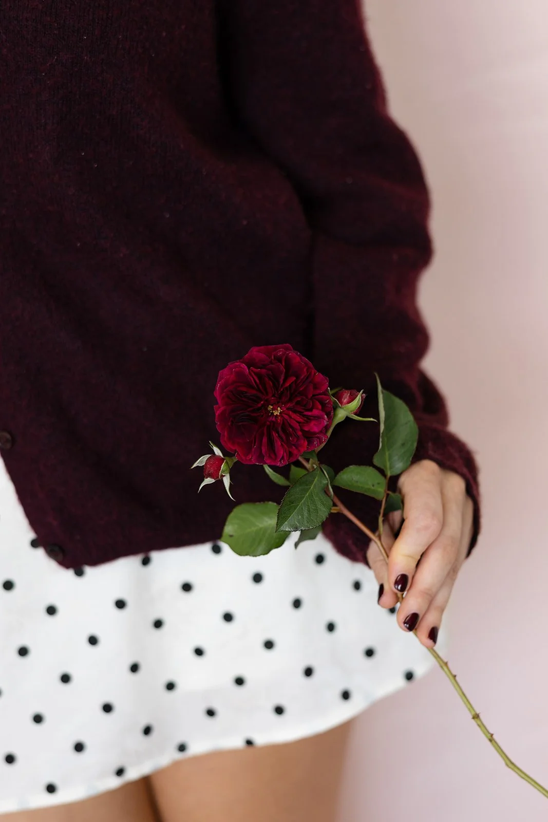 A person wearing a burgundy sweater and a white polka dot skirt holding a red flower with green leaves. advertising styling, flowers and planning for weddings, events, corporate, brand activations and pr events