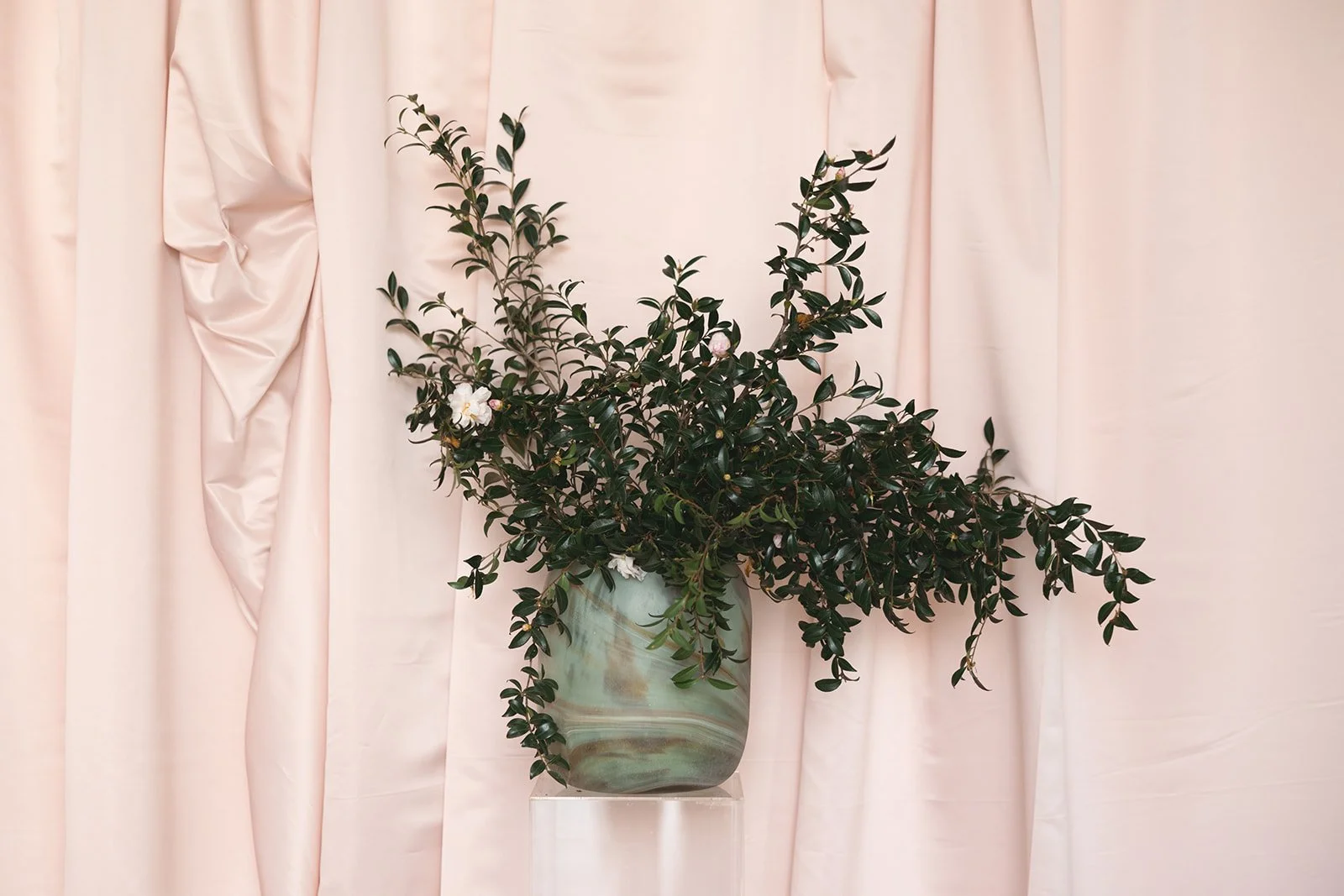 Green leafy plant with white flowers in a marble vase against a light pink draped curtain background.