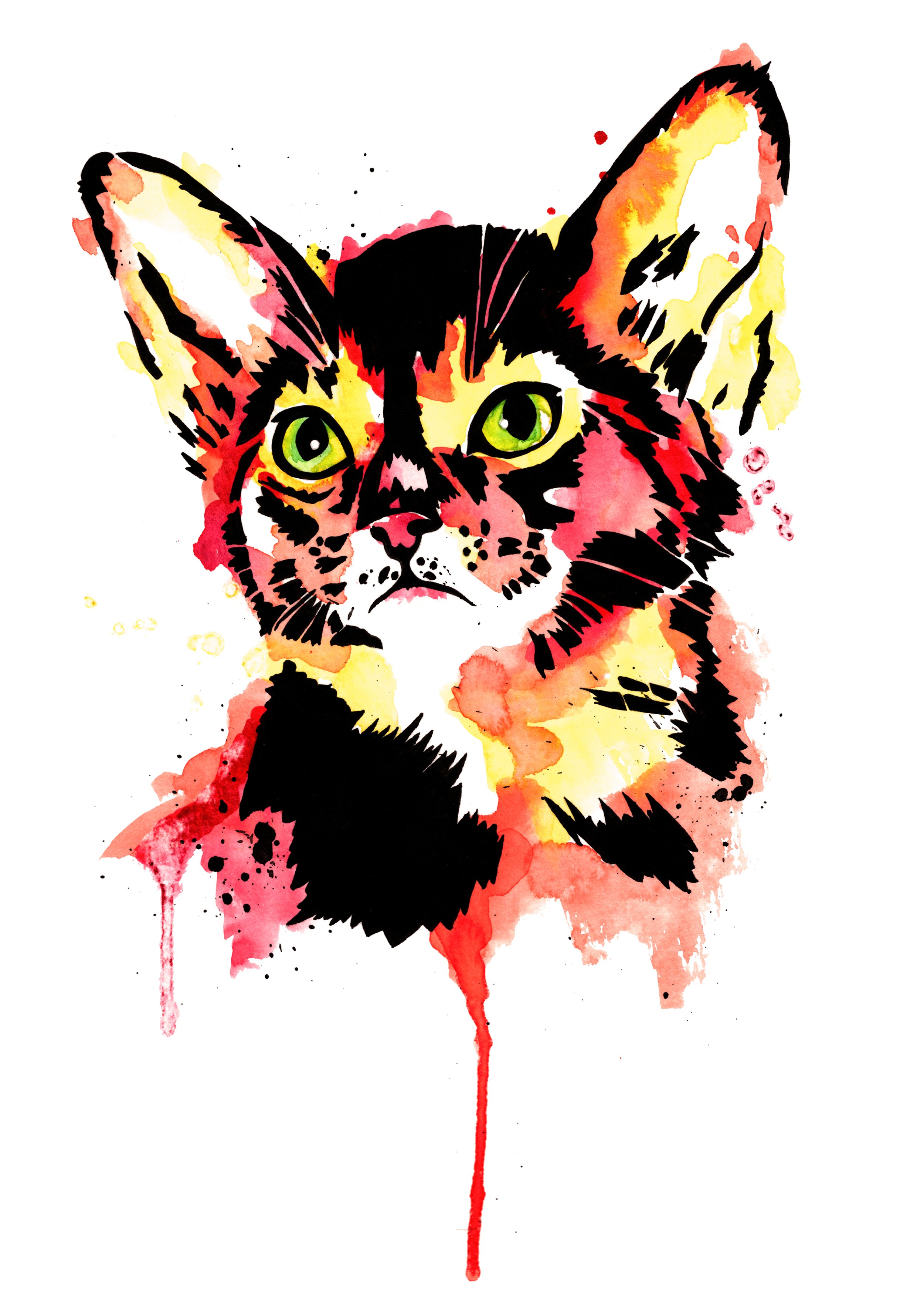 abyssinian.jpg