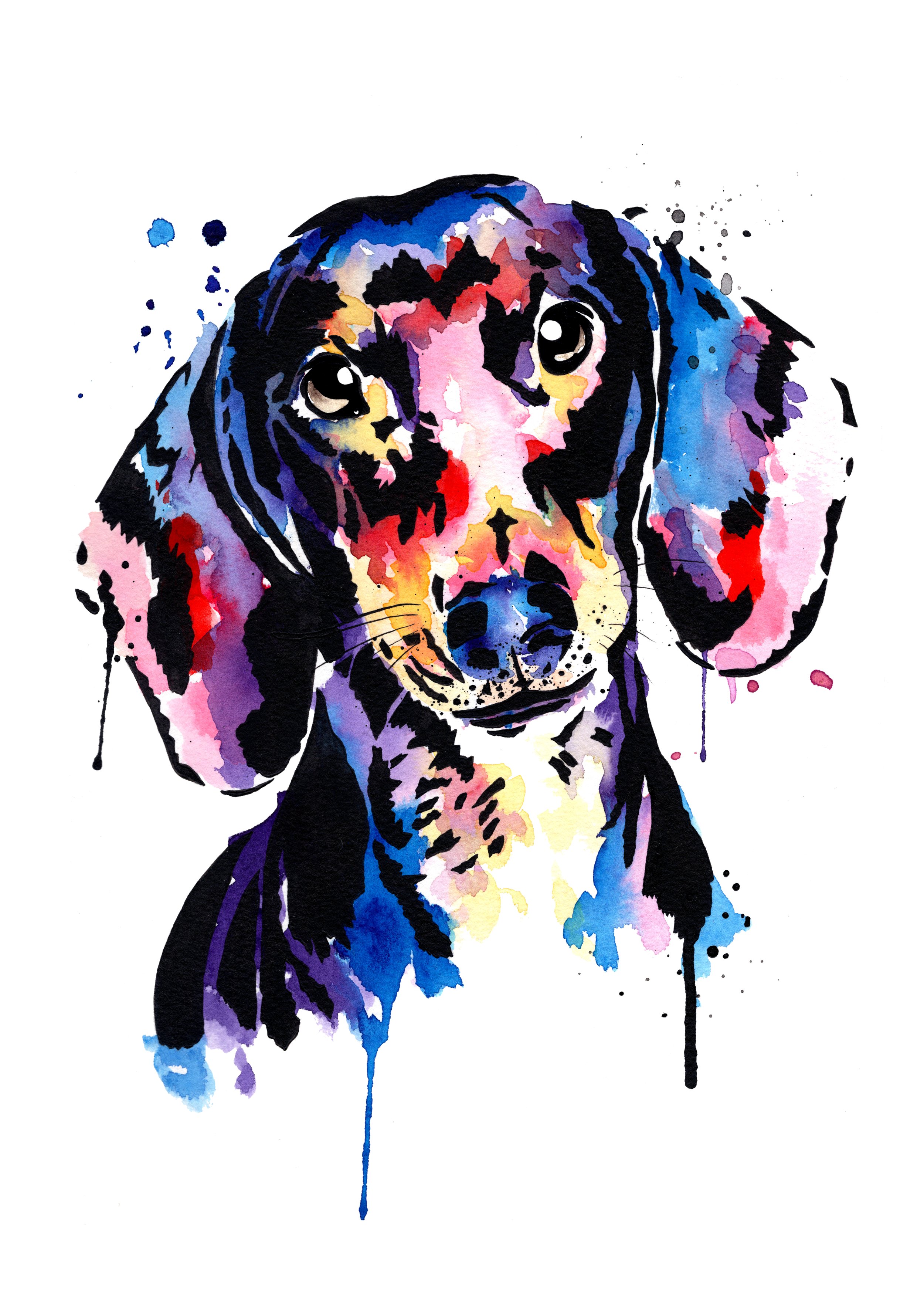 dachshund.jpg