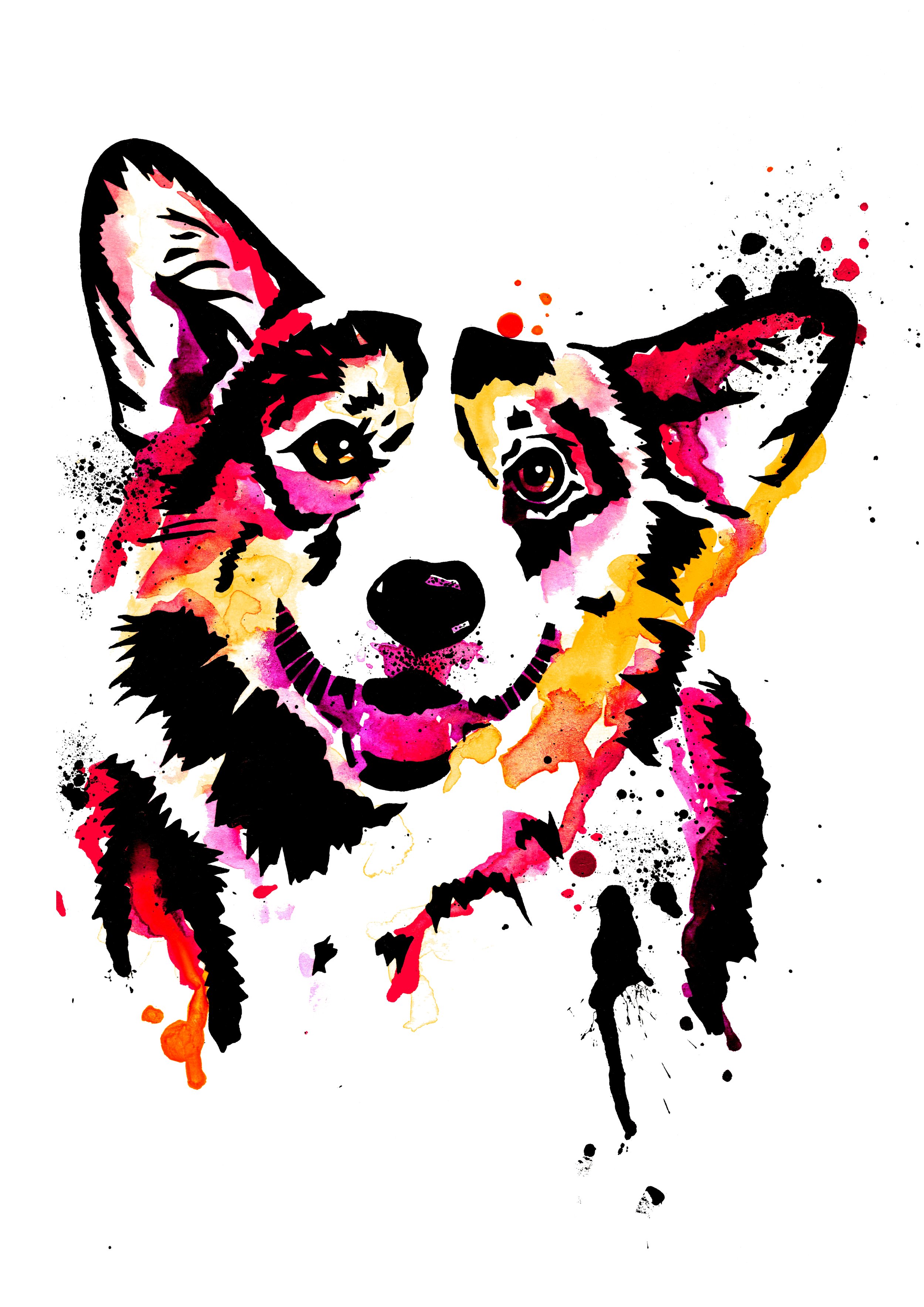 corgi.jpg