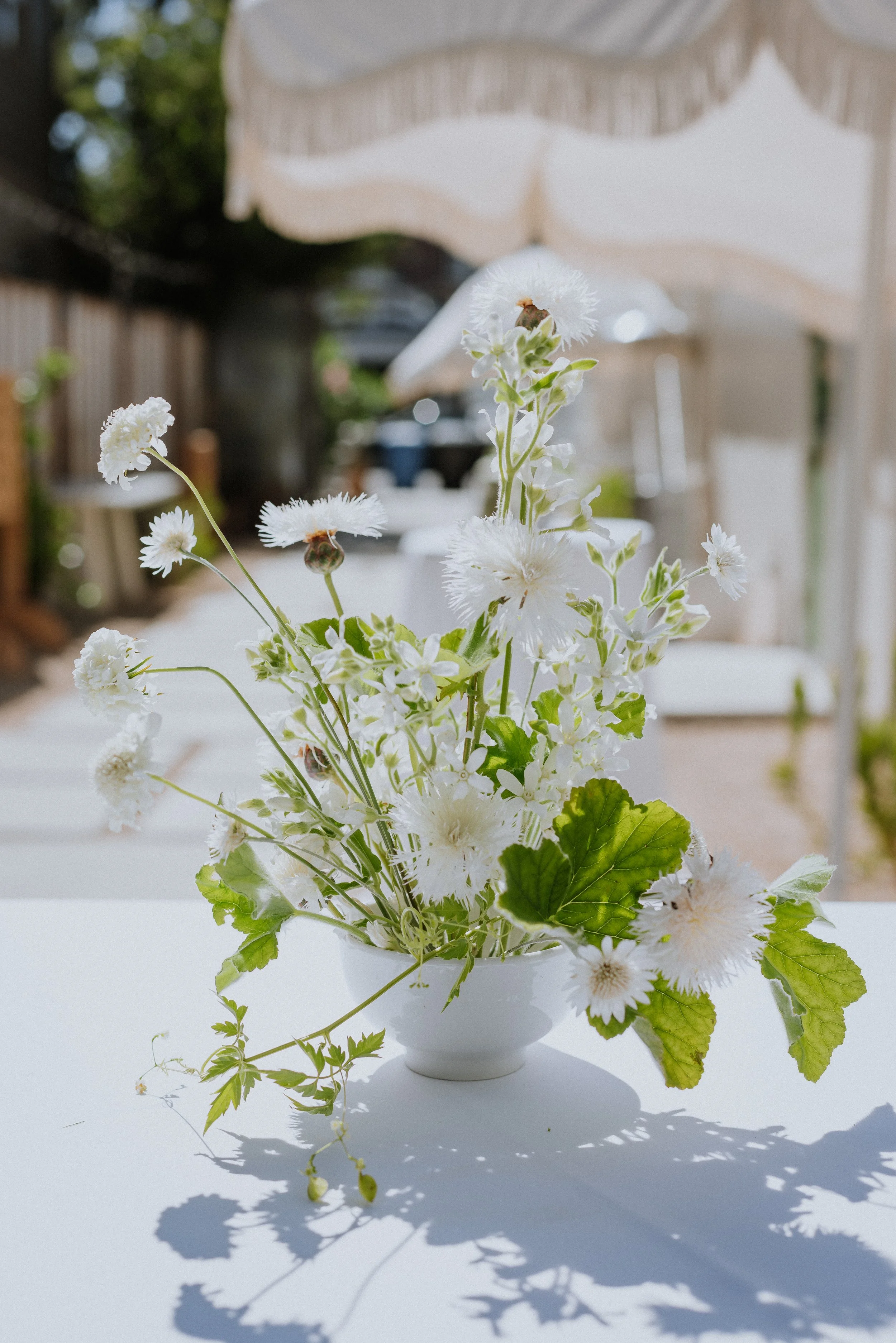 081624_Aracely Lounge x Hey Honey-133.jpg