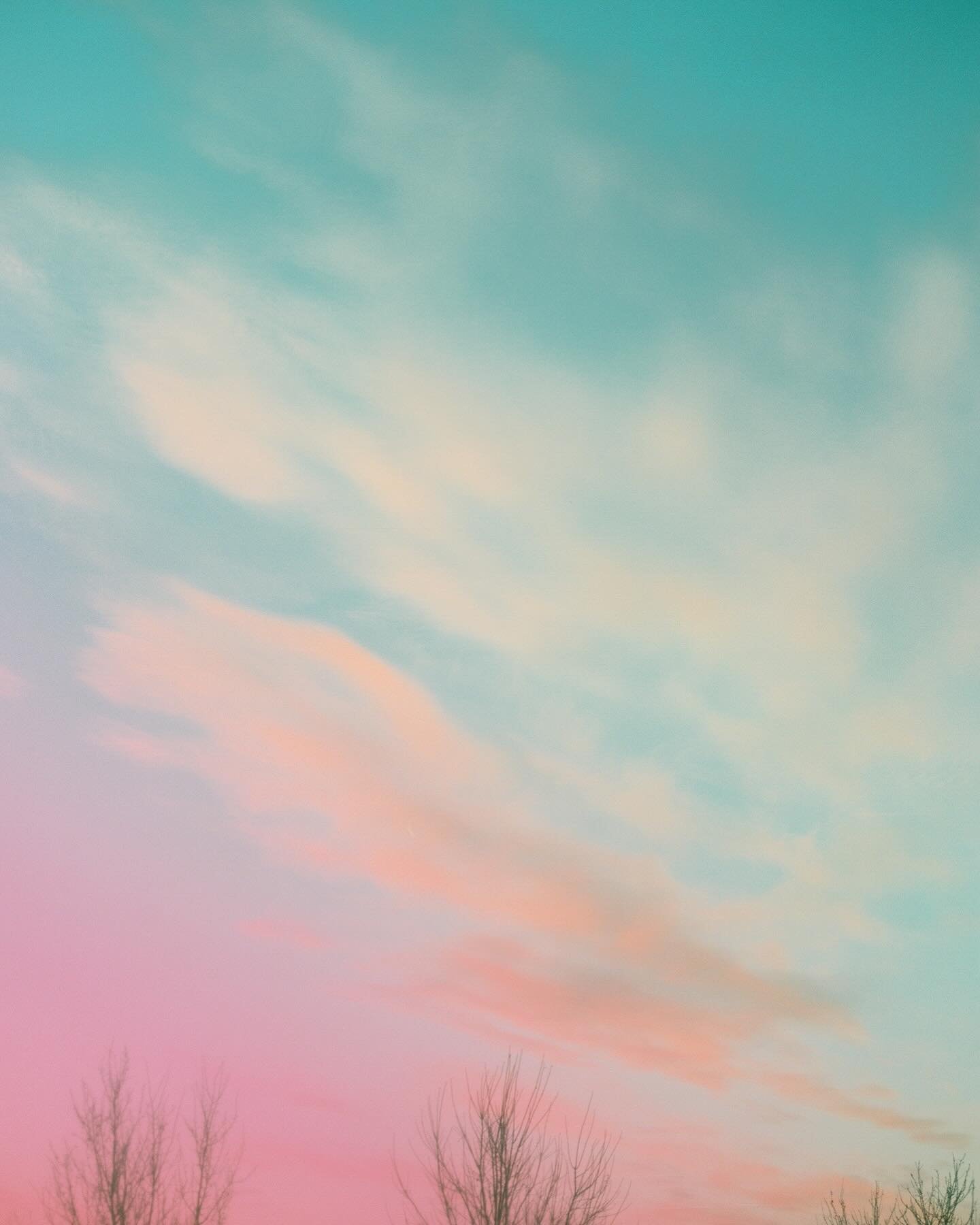 Thank you Ektar for perfectly capturing this cotton candy sunrise 😍🩷🩵😍

#kodakprofessional #kodakektar100 #mediumformatfilm