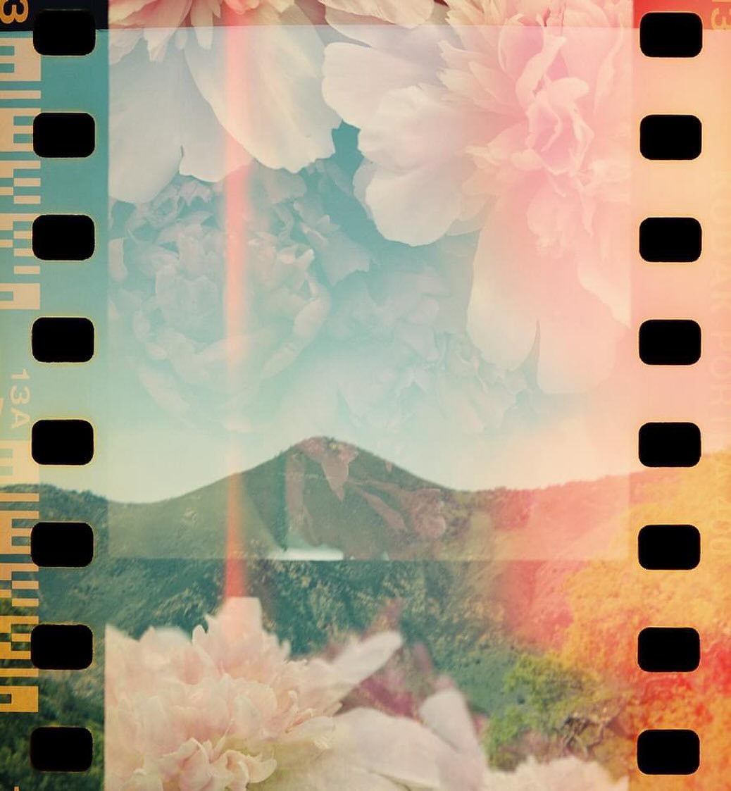 🎵 surprise surprise 🎵 Is anyone shocked to hear me say that some of my favorite photos from Santa Barbara are my holga shots? 😅 that plastic toy camera is the bomb. 

This is an especially set of them - I had photographed a roll of flowers last sp