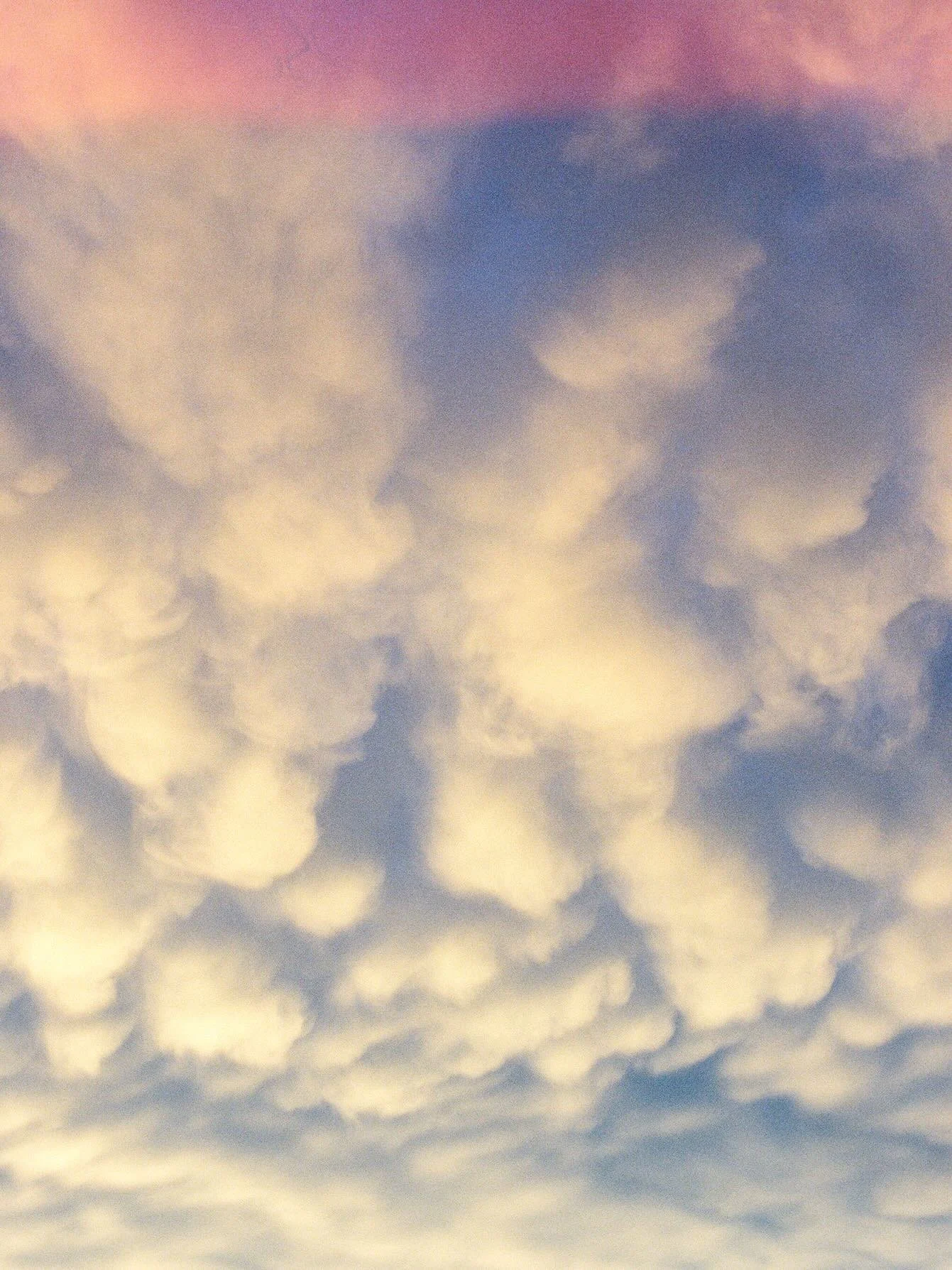 I took an embarrassing number of photos of these clouds 😂 but it was post summer storm and they literally looked like they had been painted in the sky. No regrets! 

🎞️ 35mm Portra 400