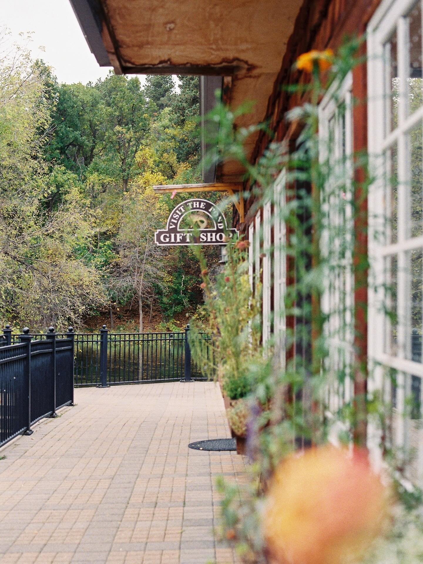 Fall views from the Spearfish hatchery.

🎞️ Kodacolor 200 35mm film