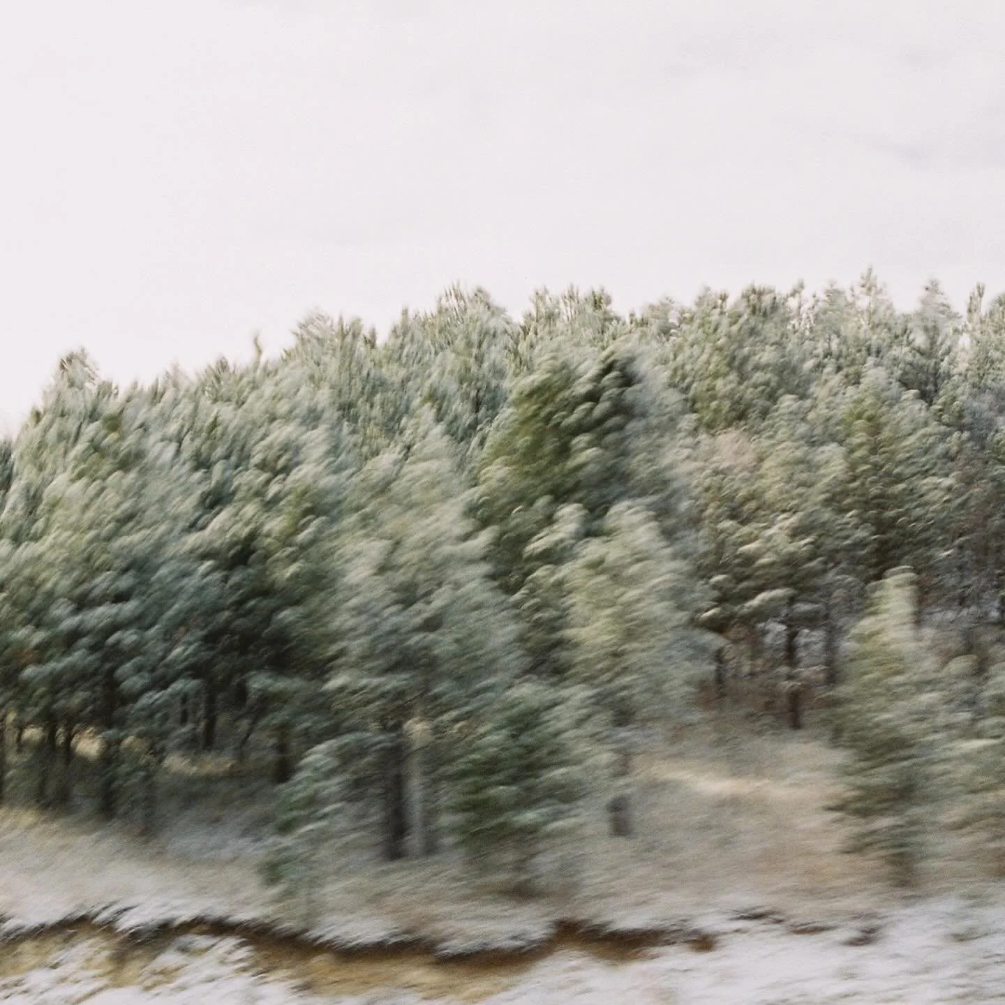 Winter weather ❄️

🎞️ Porta 400 + Ultramax 35mm film

#35mmfilm #filmphotography #kodak #kodakprofessional