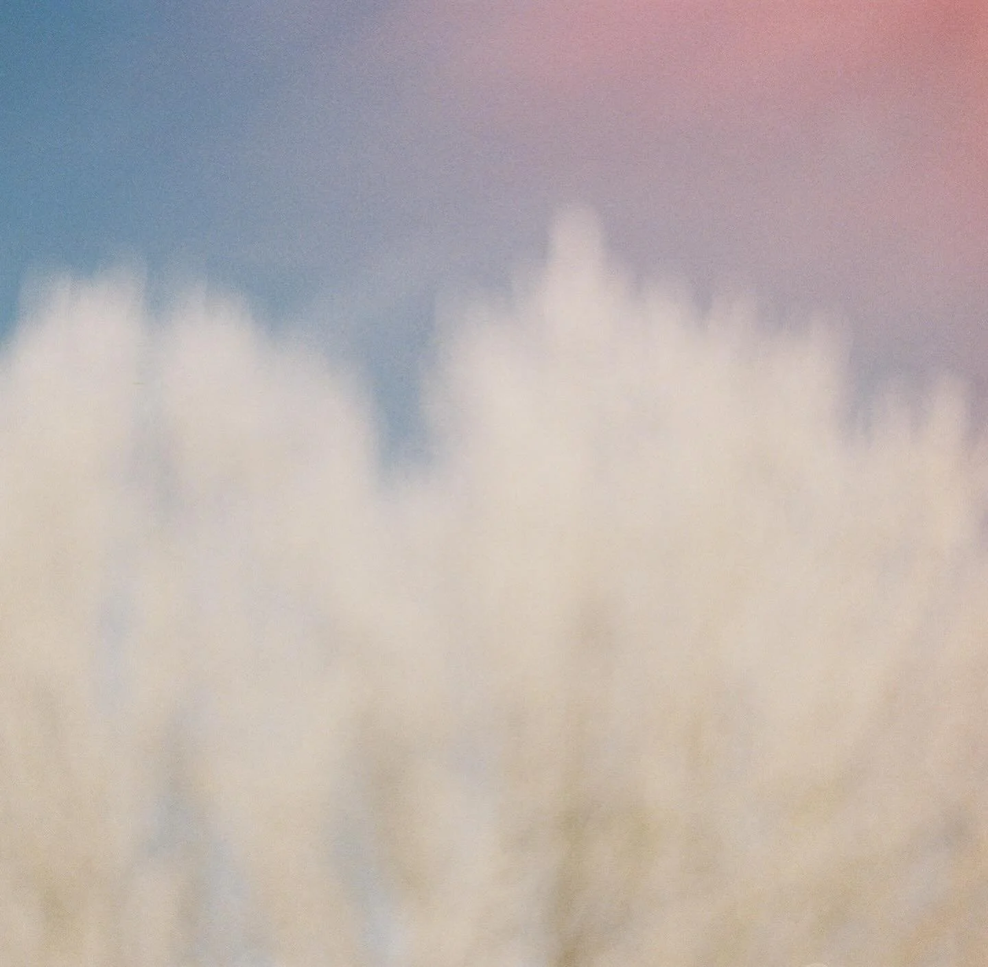 Winter vibes 🤍

🎞️ Kodak Ultramax + Ilford HP5 35mm film 
#35mmfilm #filmphotography #blizzard #kodakprofessional #ilfordhp5