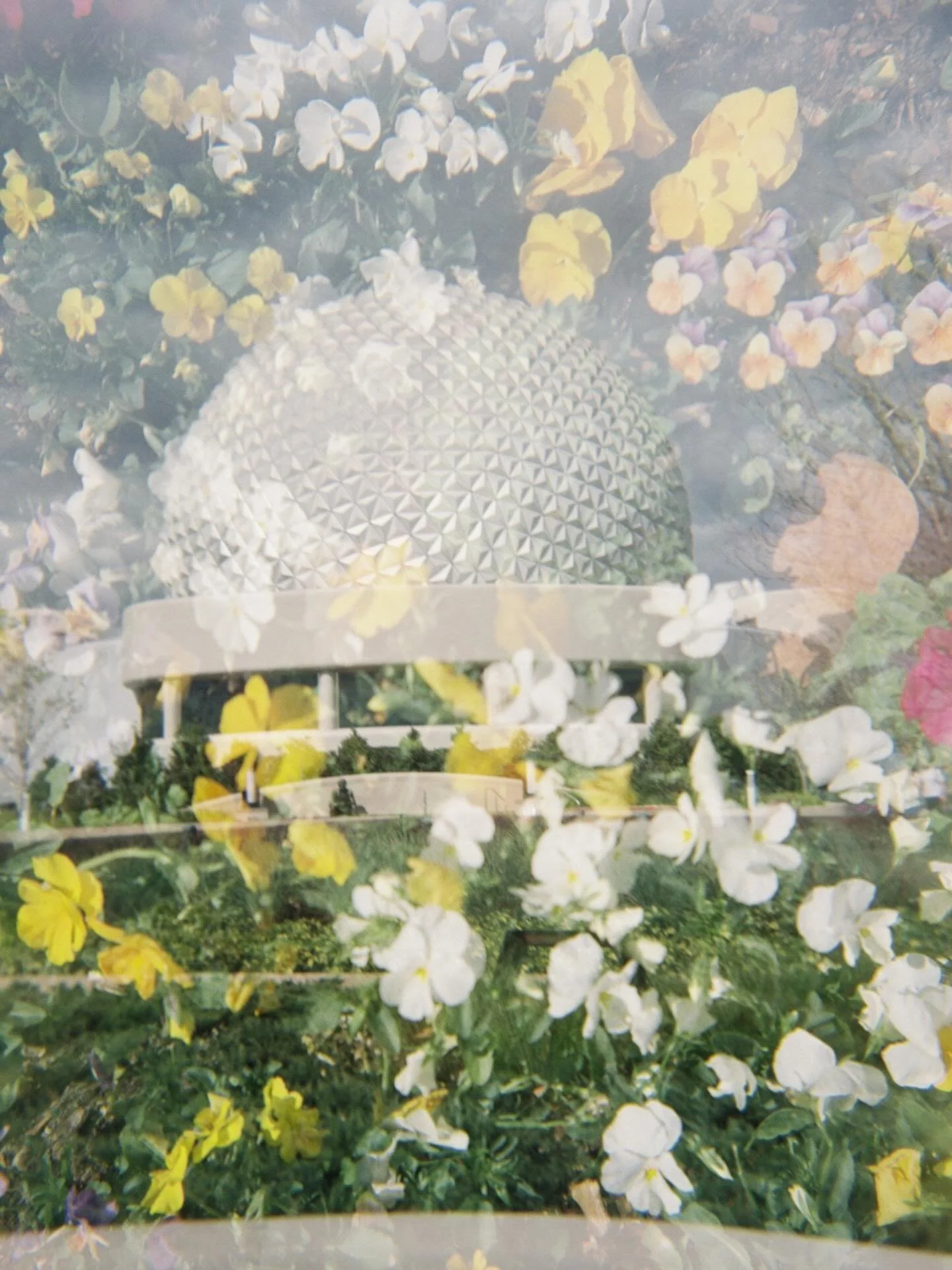 Disney landmarks on the Holga 📸 

🎞️ Fuji400h probably very expired #holga120 #holgaart #120filmphotography #fujifulm #disney