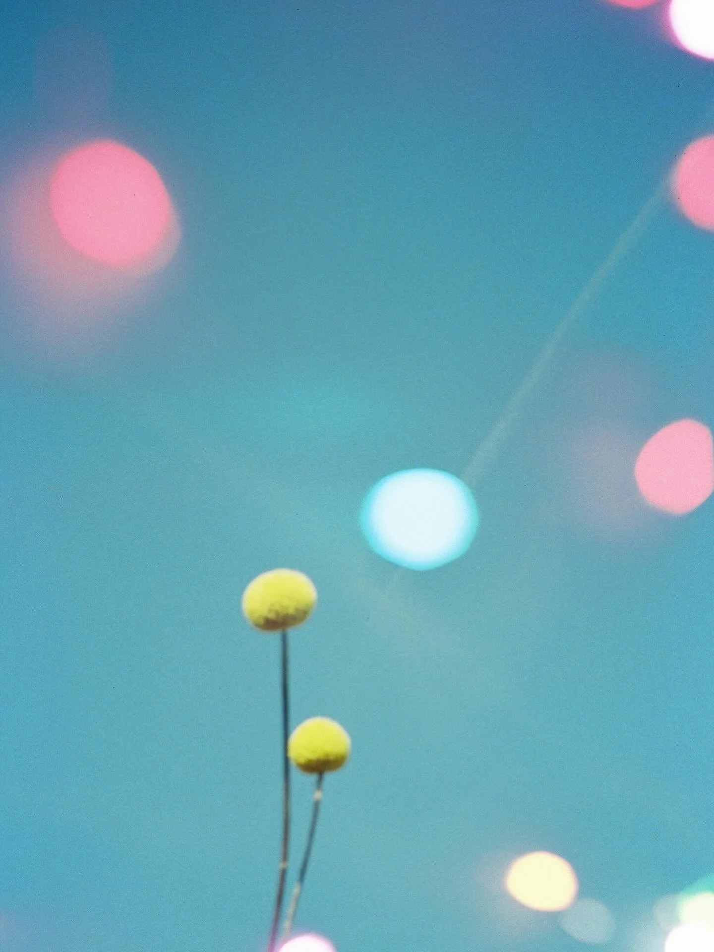 Friday feels 💛🩵💛

🎞️ Portra 400 35mmfilm + blind double exposure #35mmfilm #portra400 #kodakprofessional