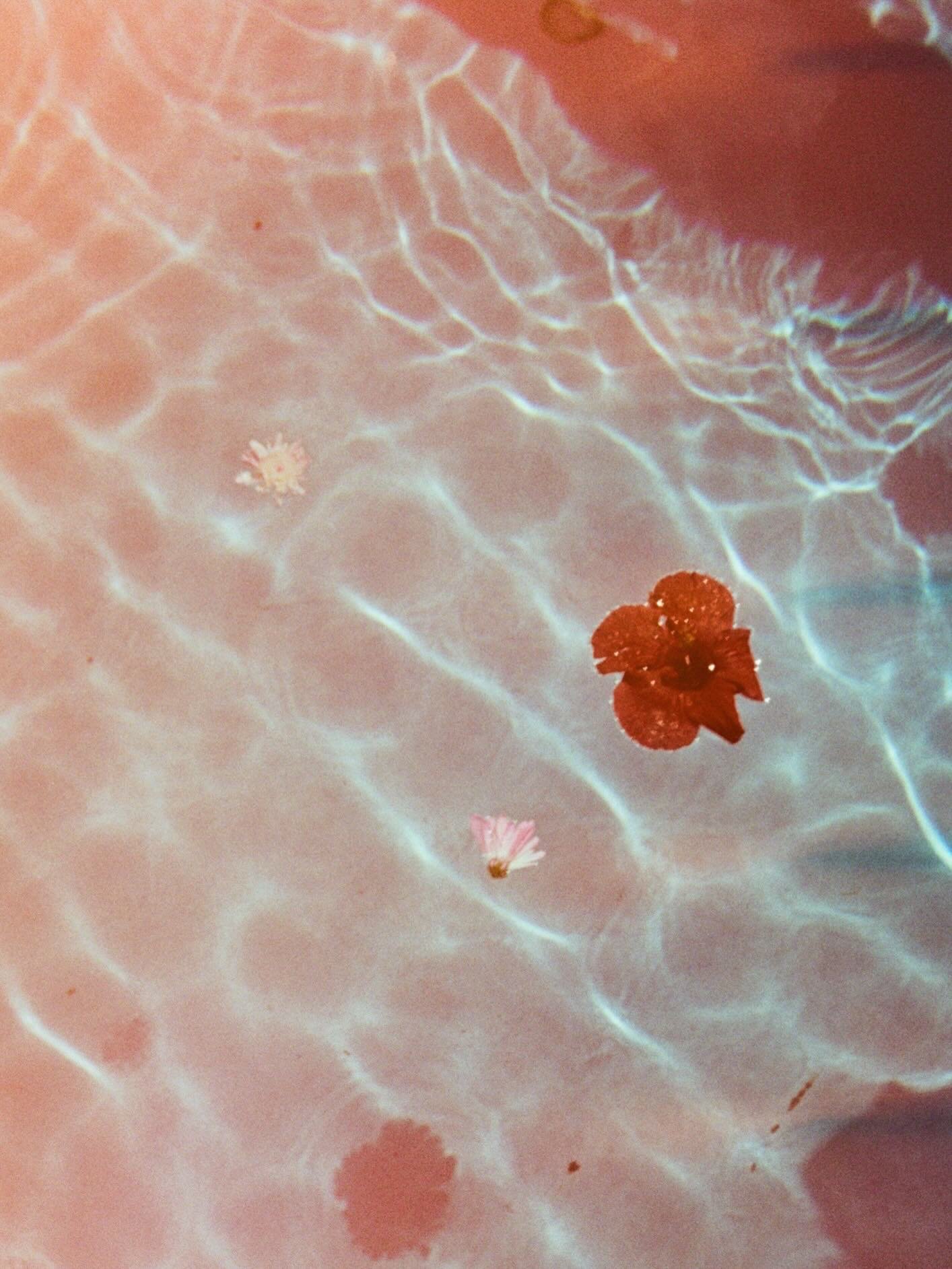 Pool side half frames 🩷

🎞️ Portra 400 35mm film #kodak #kodakprofessional #35mmfilm #lightleaks