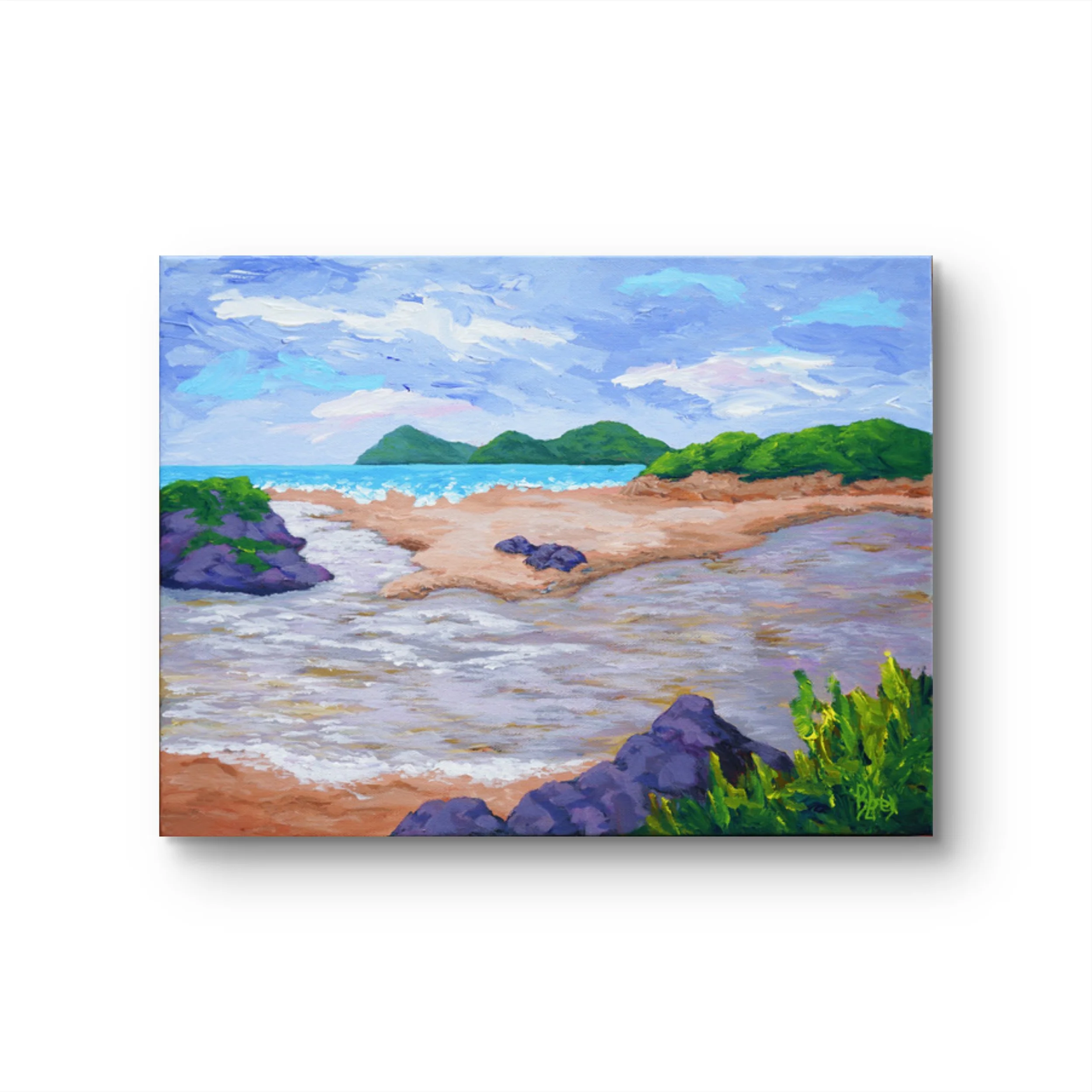 view from derrynane frame it 3.jpg