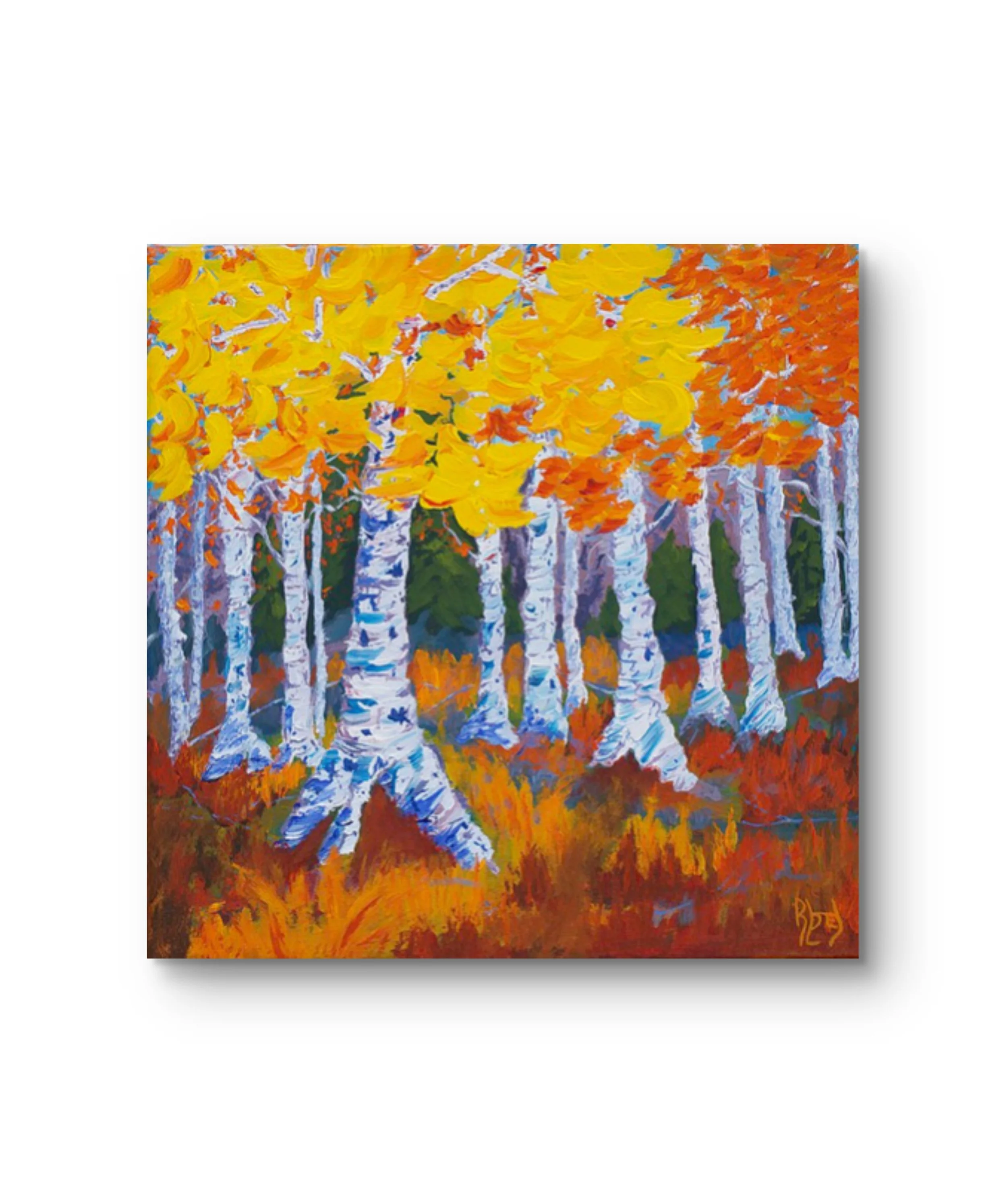 birches yellow 1 frame it done.jpg