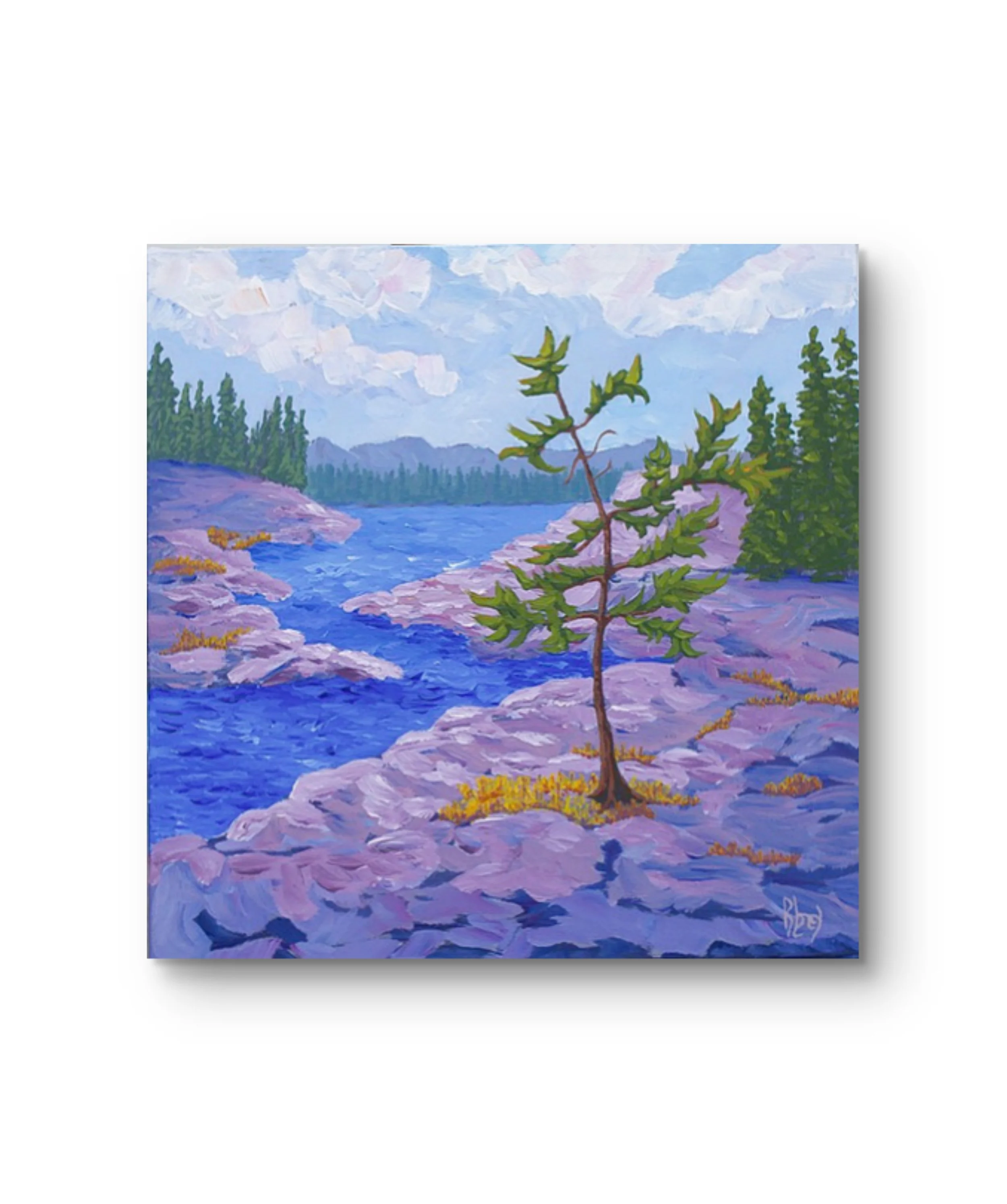 lonely pine killarney 1 frame it done.jpg