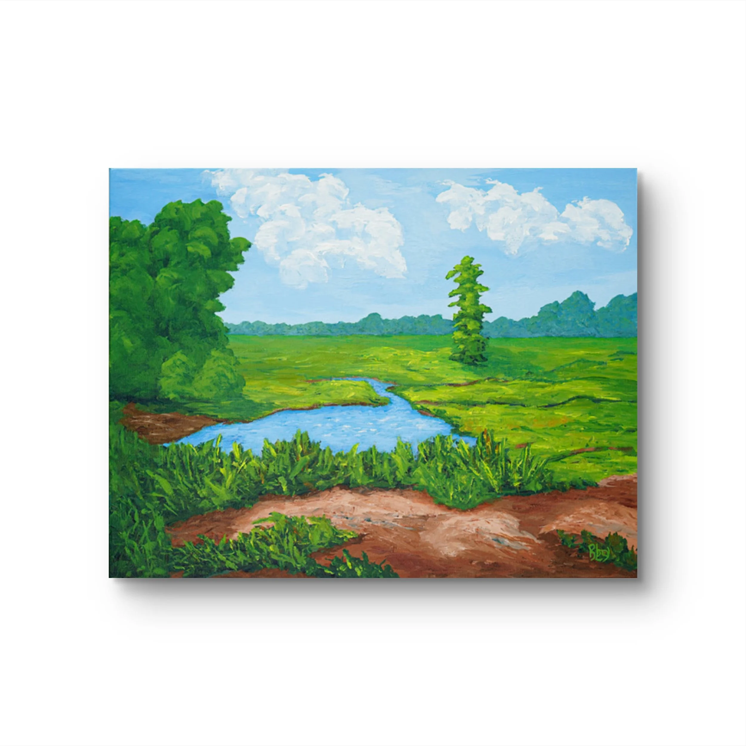 marsh at Torrence Barrens frame it 5.jpg