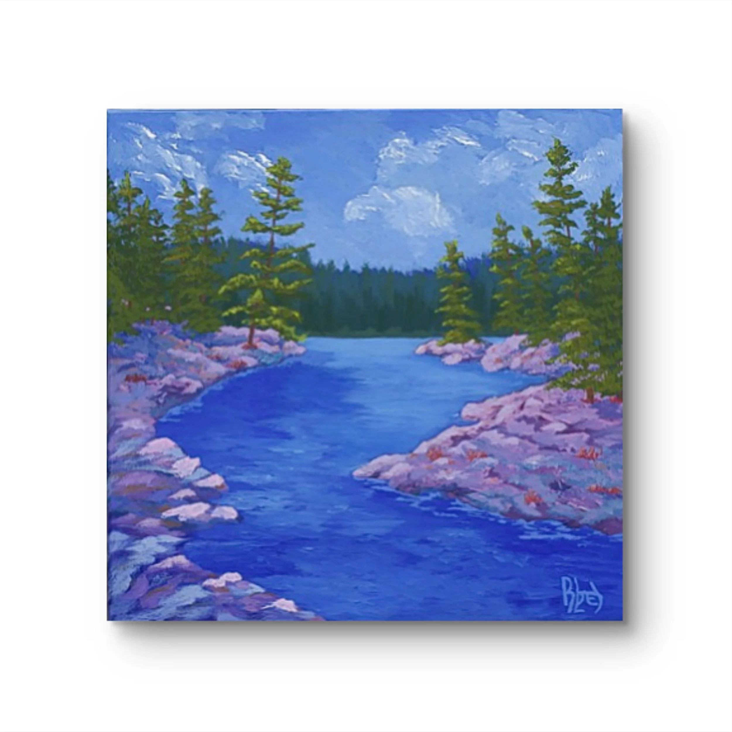 sunny musquash 1 frame it done.jpg