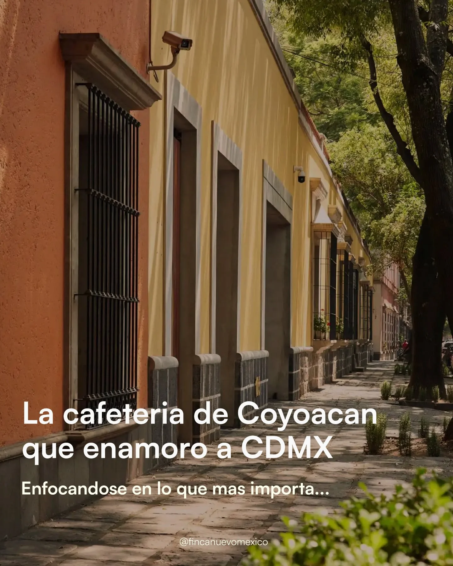 Un caf&eacute; constante y de calidad fue todo lo que necesit&oacute; esta cafeter&iacute;a para volverse la favorita del barrio ☕🌟