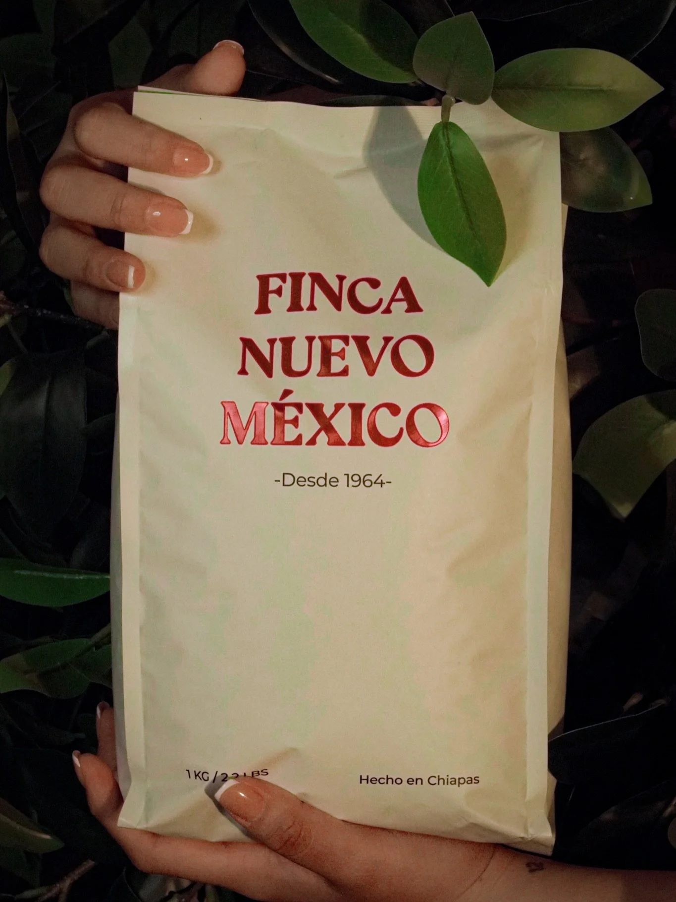 Finca Nuevo M&eacute;xico | Numex 
Dos proyectos, una misma finca, una misma familia y un mismo compromiso con la calidad.
El a&ntilde;o pasado dimos un paso que ya era inevitable: nos fusionamos para unir lo mejor de ambos mundos: un origen real y u