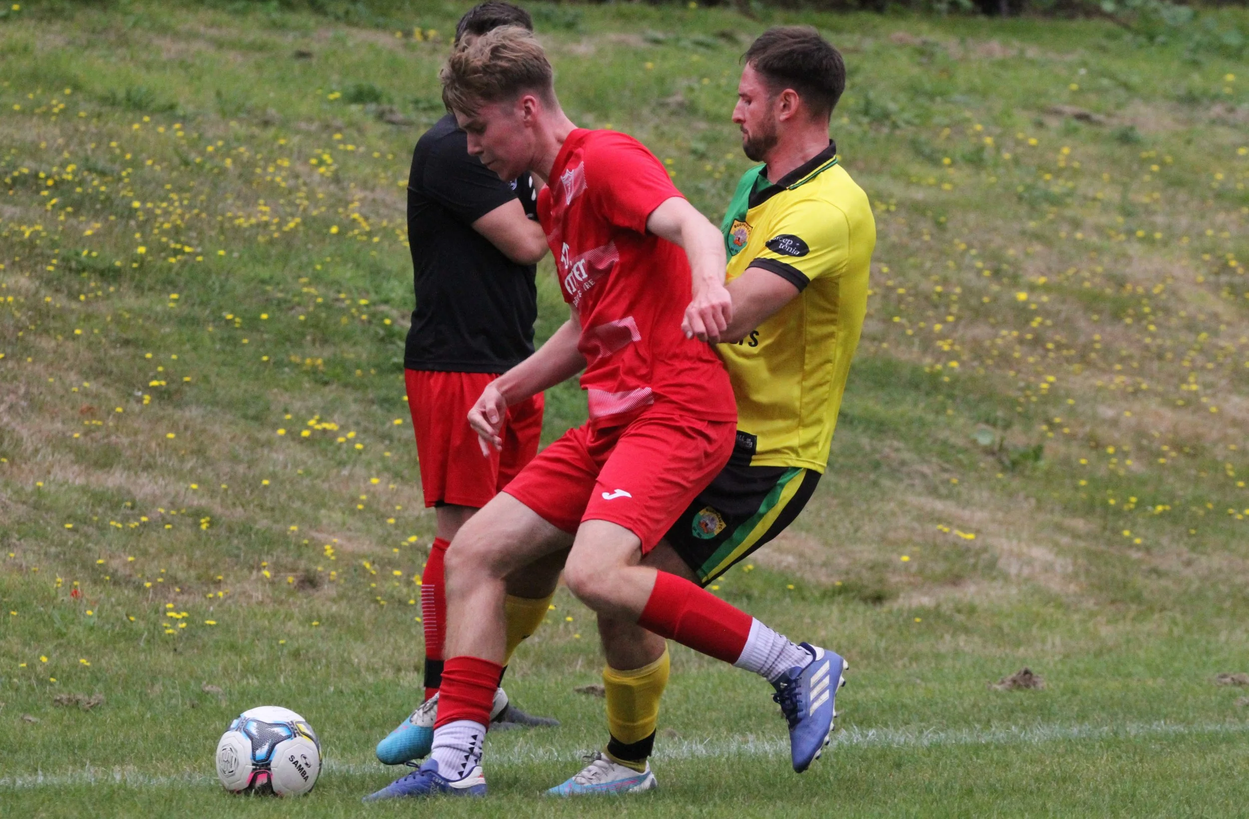 7IMG0531[1] - Lukejw Shepherd.JPG