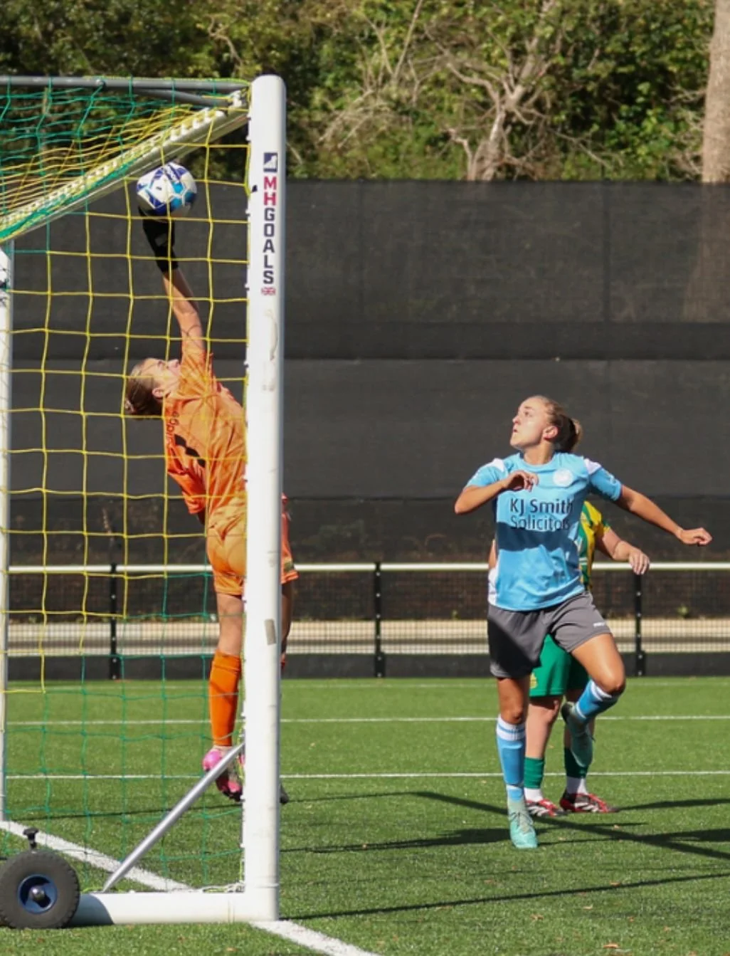 1a239ca0-f998-4dbd-902e-19959897c5dd - Daisy Strouts.jpeg