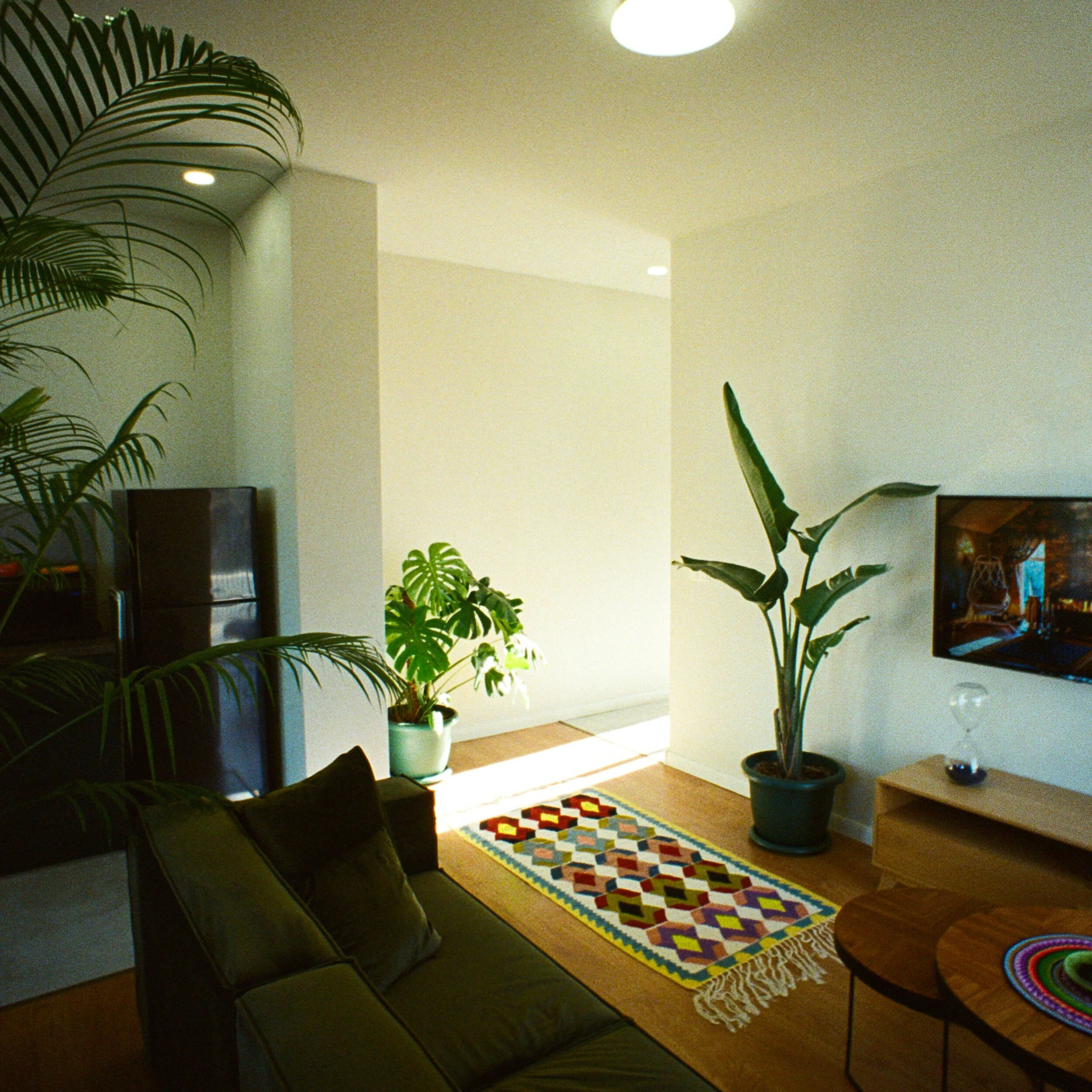 Living room with a brown sofa, two potted plants, a colorful geometric rug, a TV mounted on the wall, and a wooden coffee table with a woven placemat.