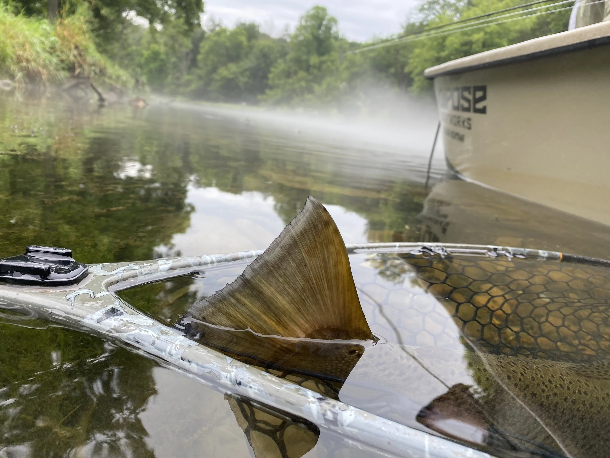 South Holston River fly fishing gear setup