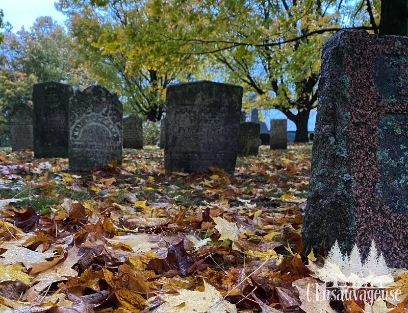 vieilles pierres tombales dans un cimetiere l'automne. Feuilles mortes au sol