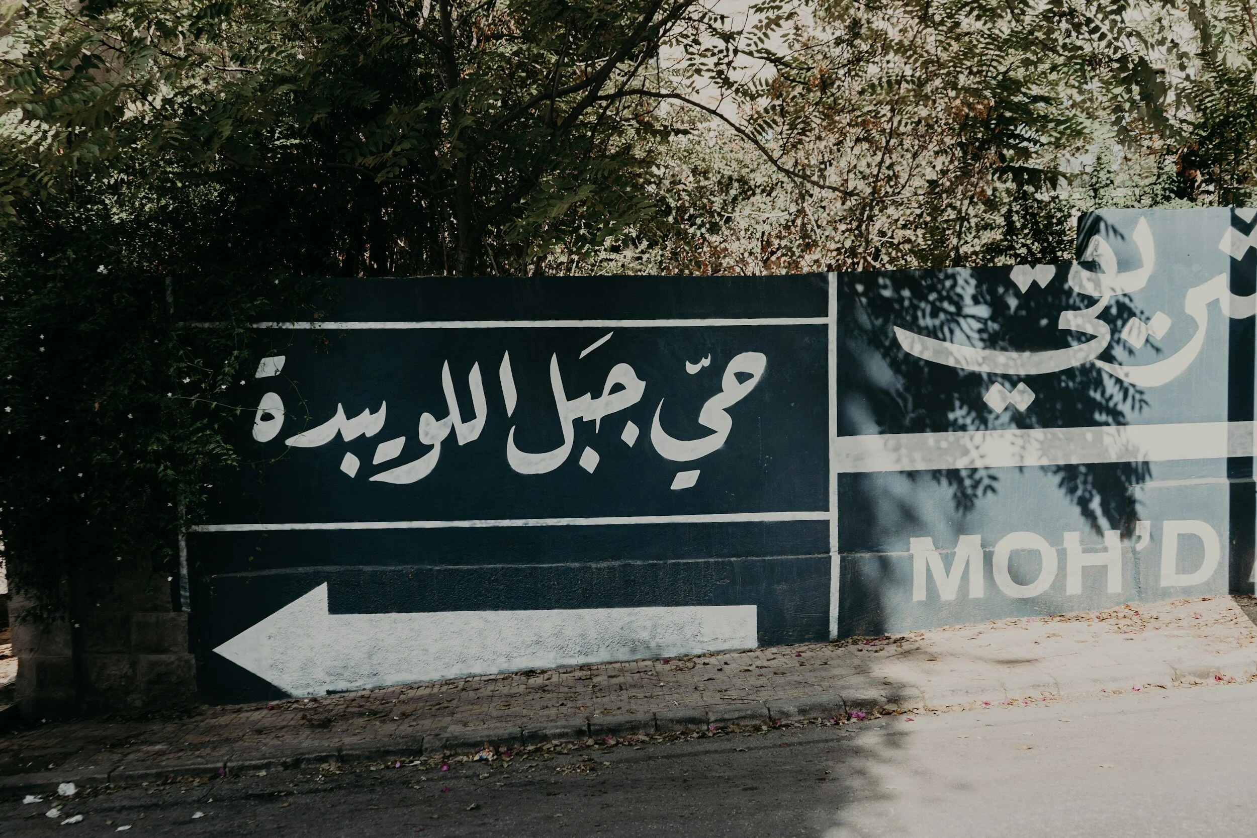 Arabic Language Level I through Travel &amp; Cultures