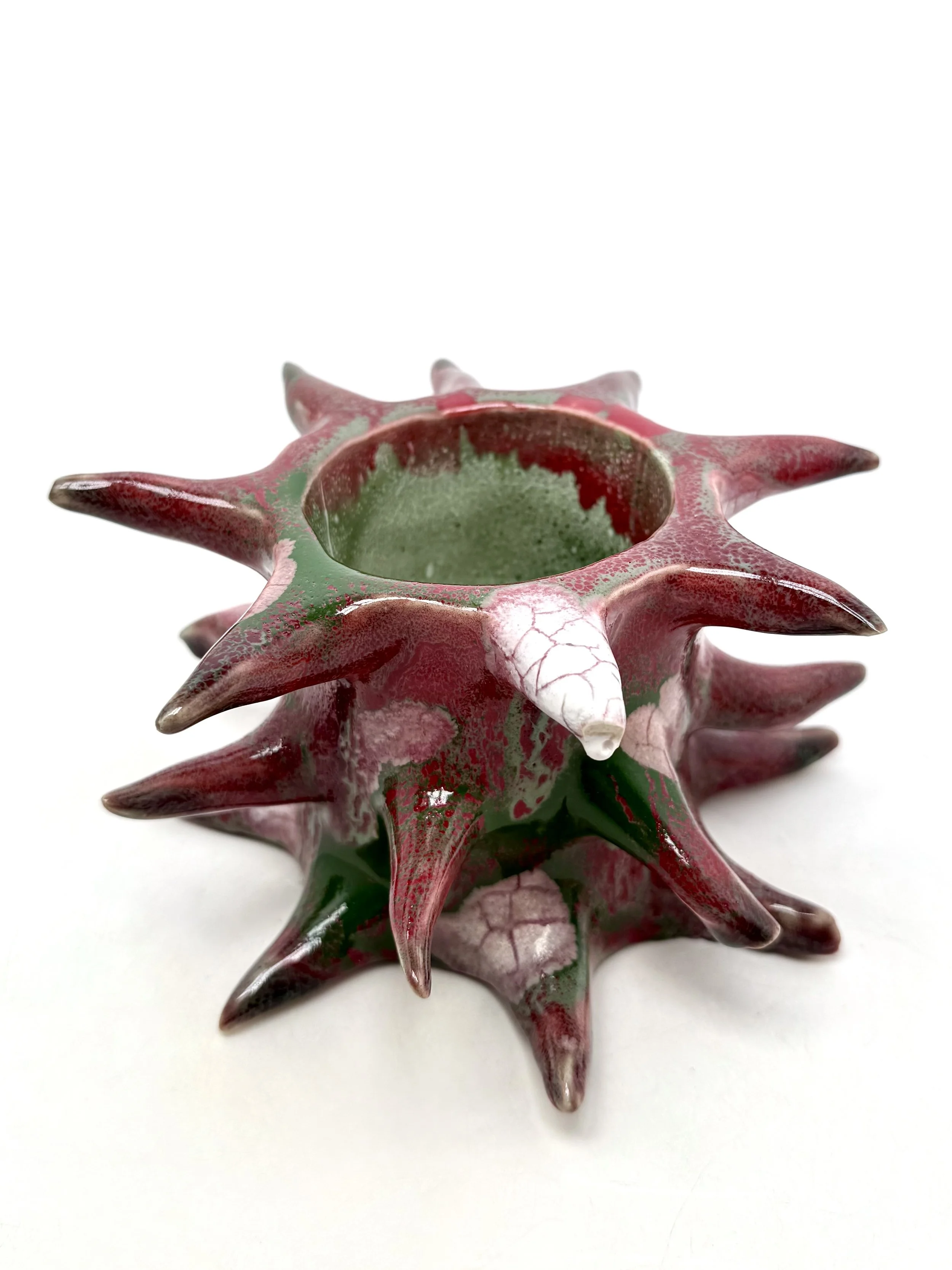 rambutan rotted , 2025