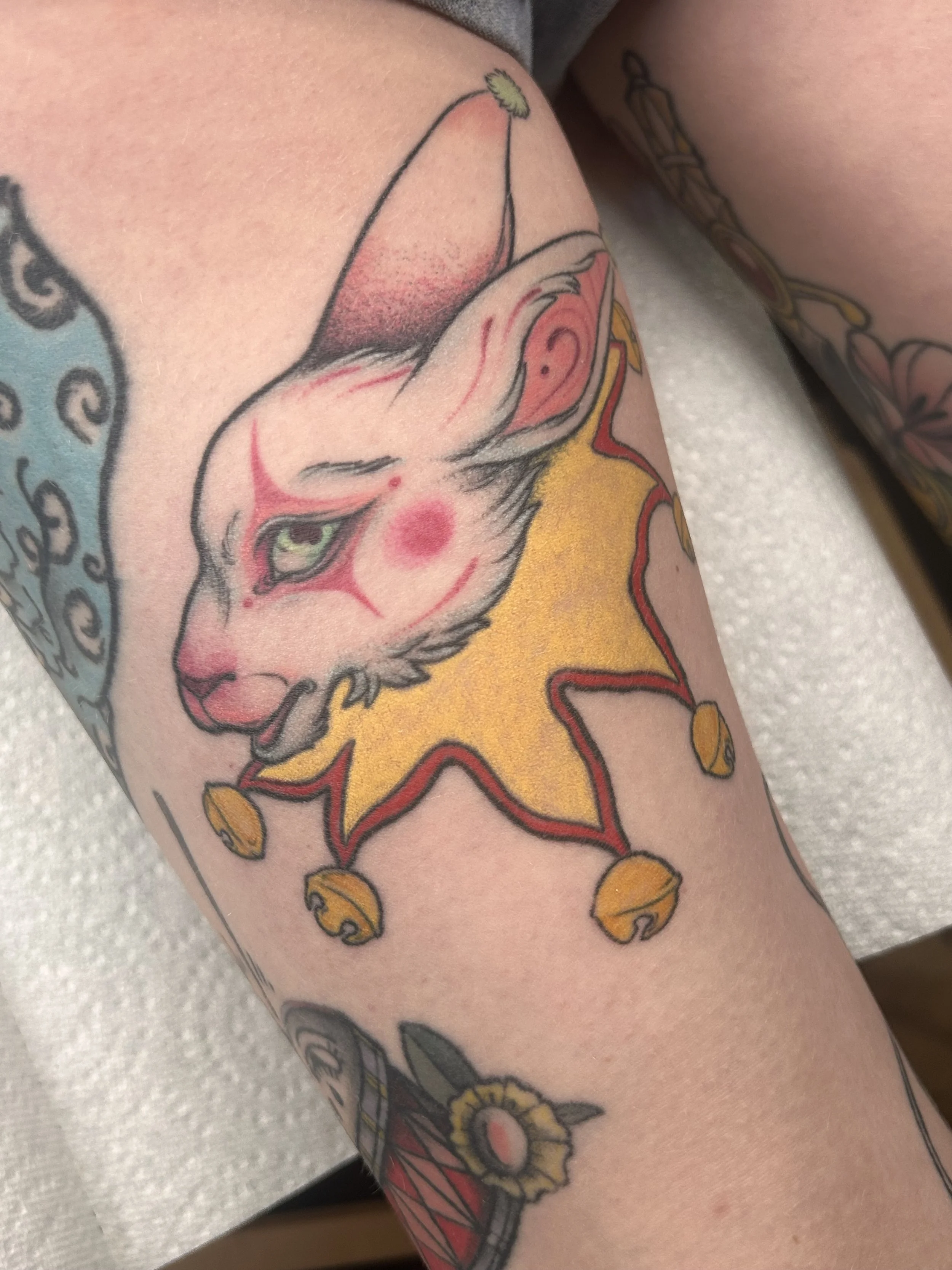 Rabbit