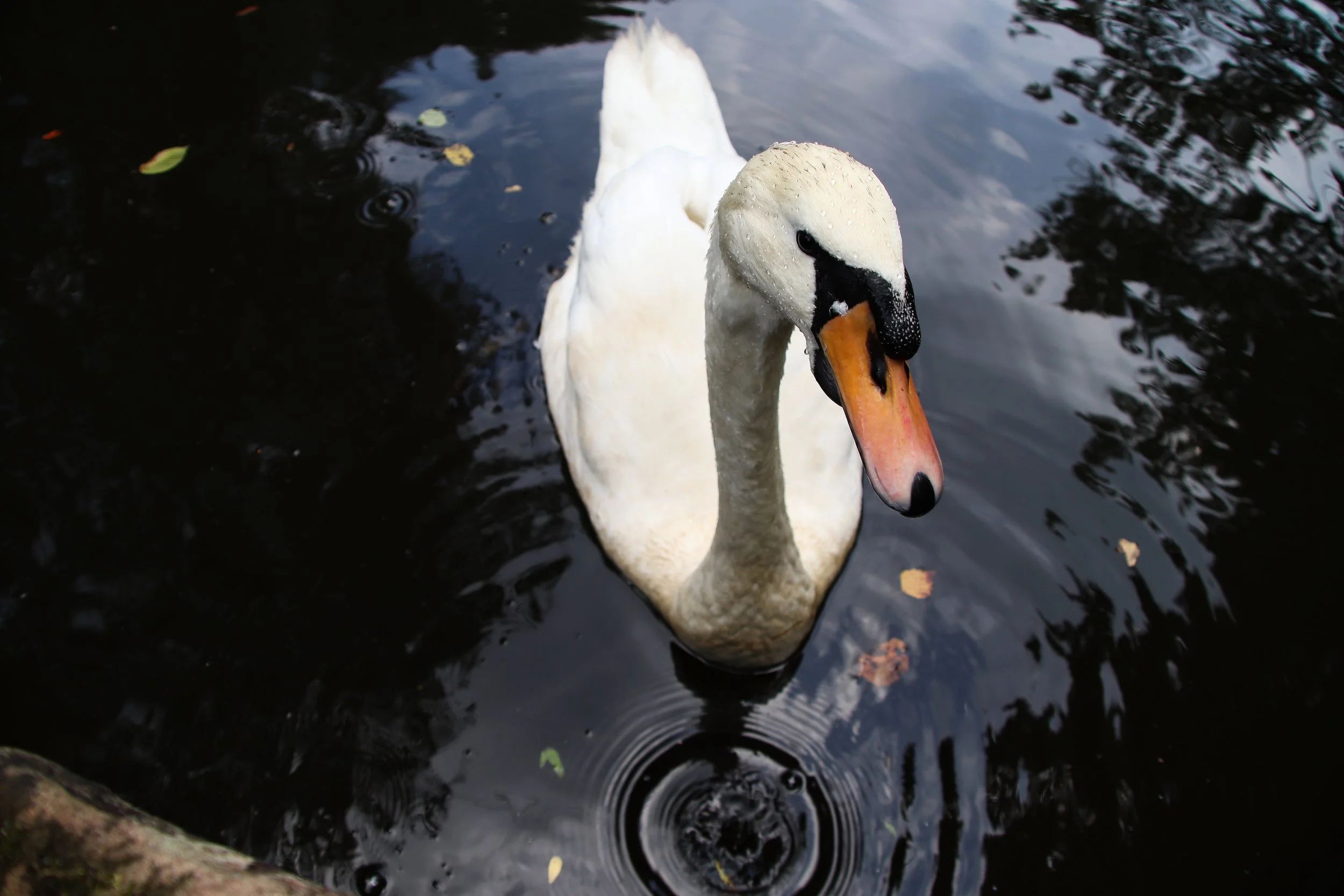 IMG_3317 (1)-Evoto Edited.jpg