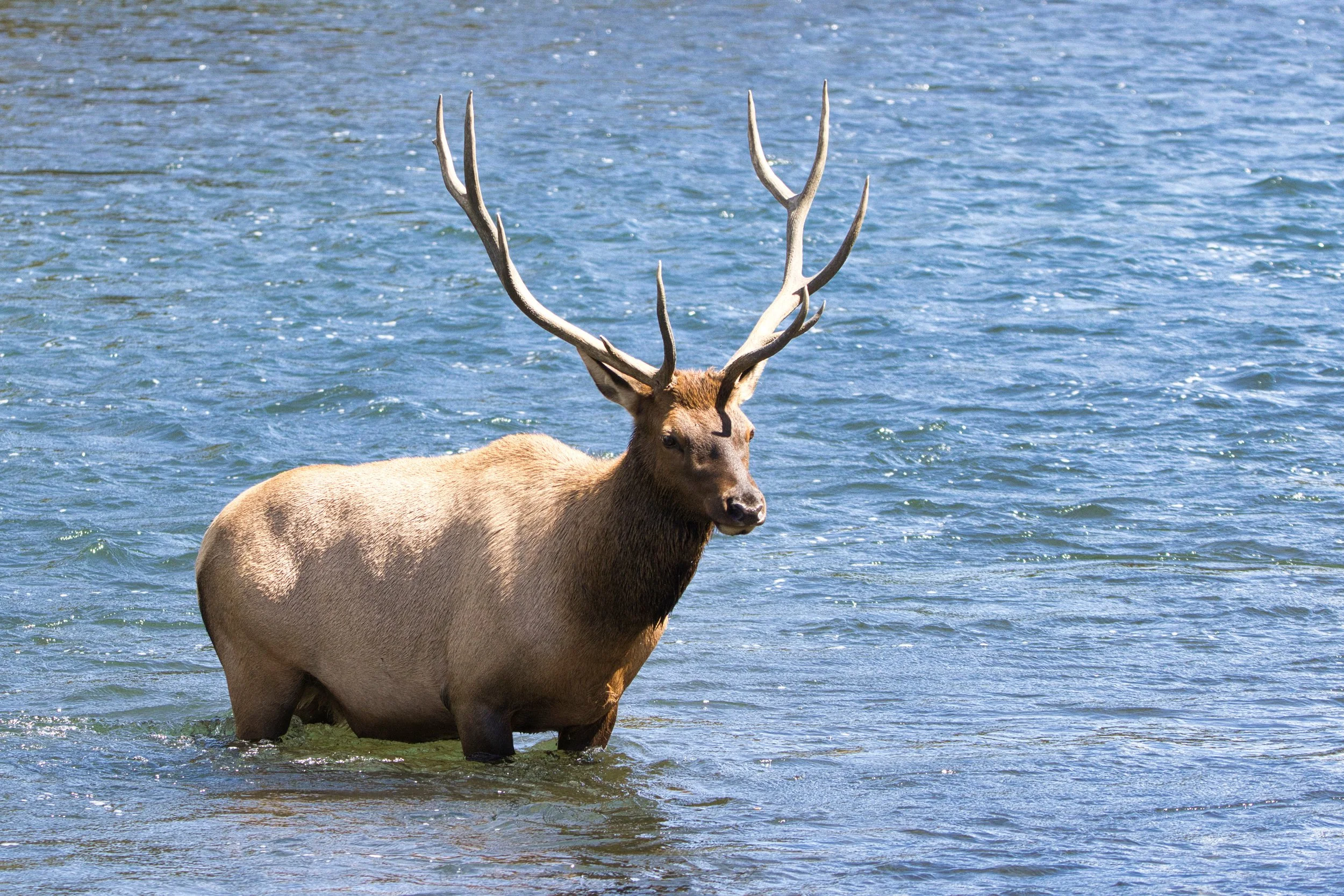 _LA_7651-Evoto Edited.jpg