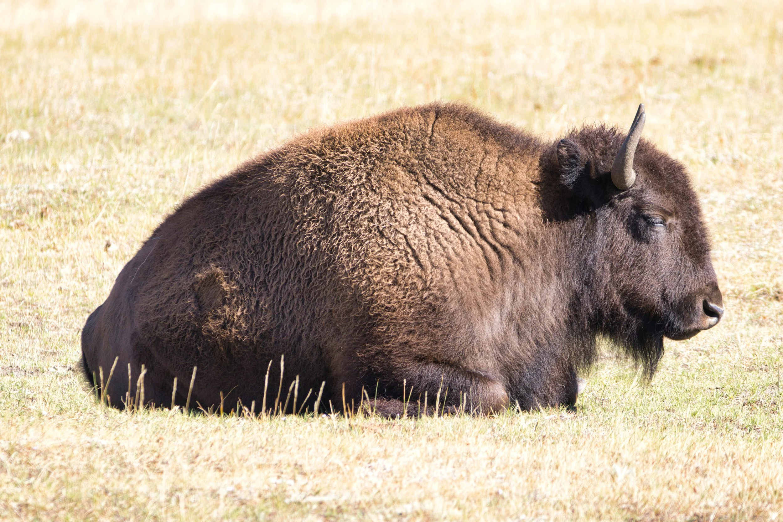 _LA_7511-Evoto Edited.jpg