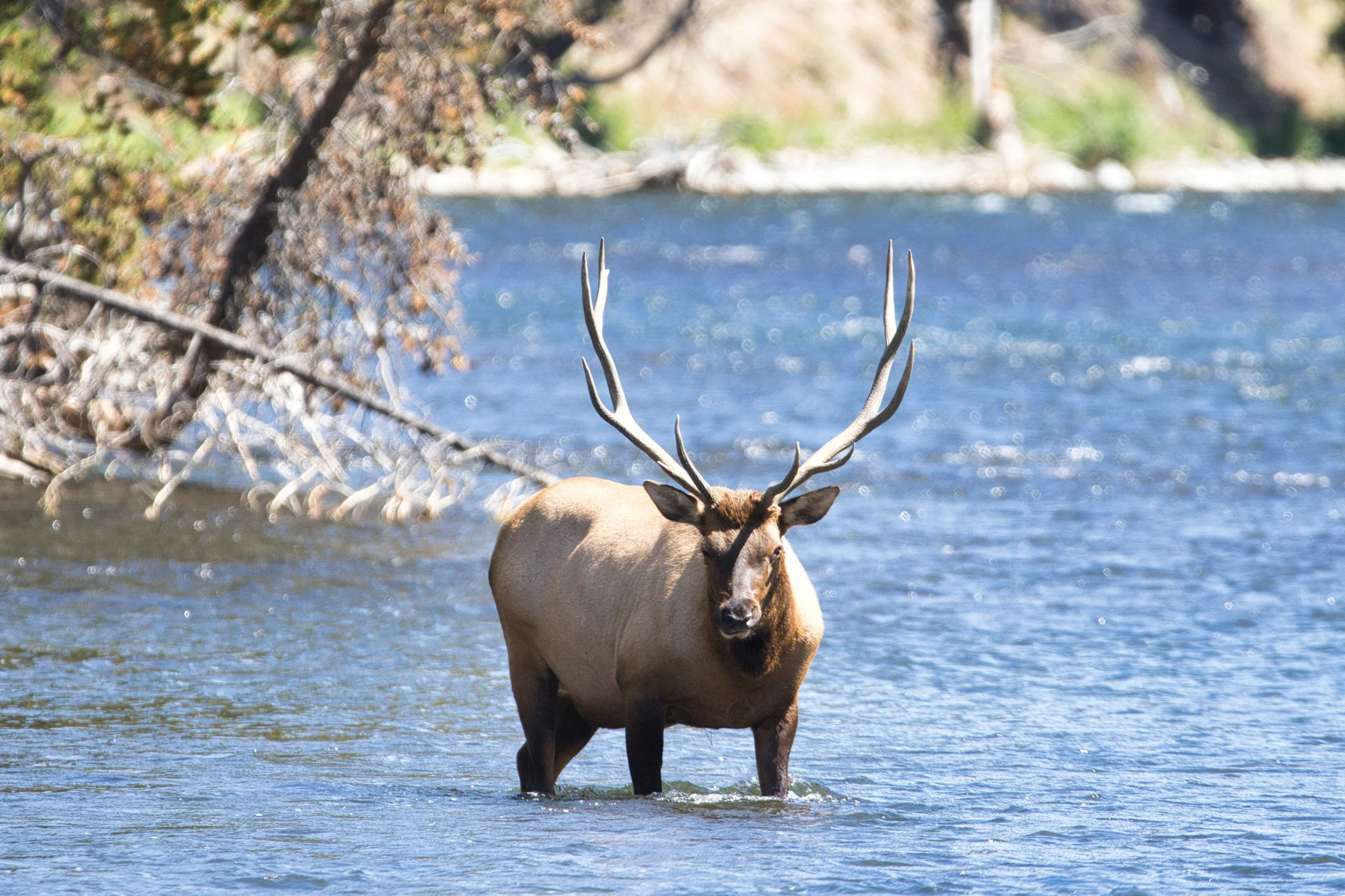 _LA_7629-Evoto Edited.jpg