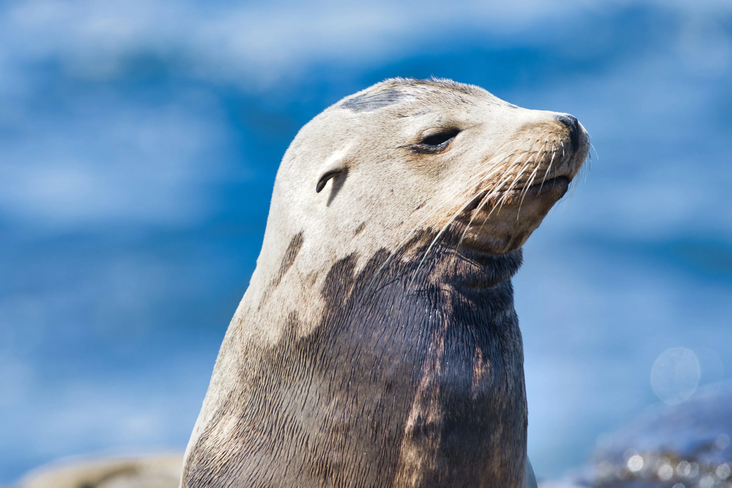 IMG_0840-Evoto Edited.jpg