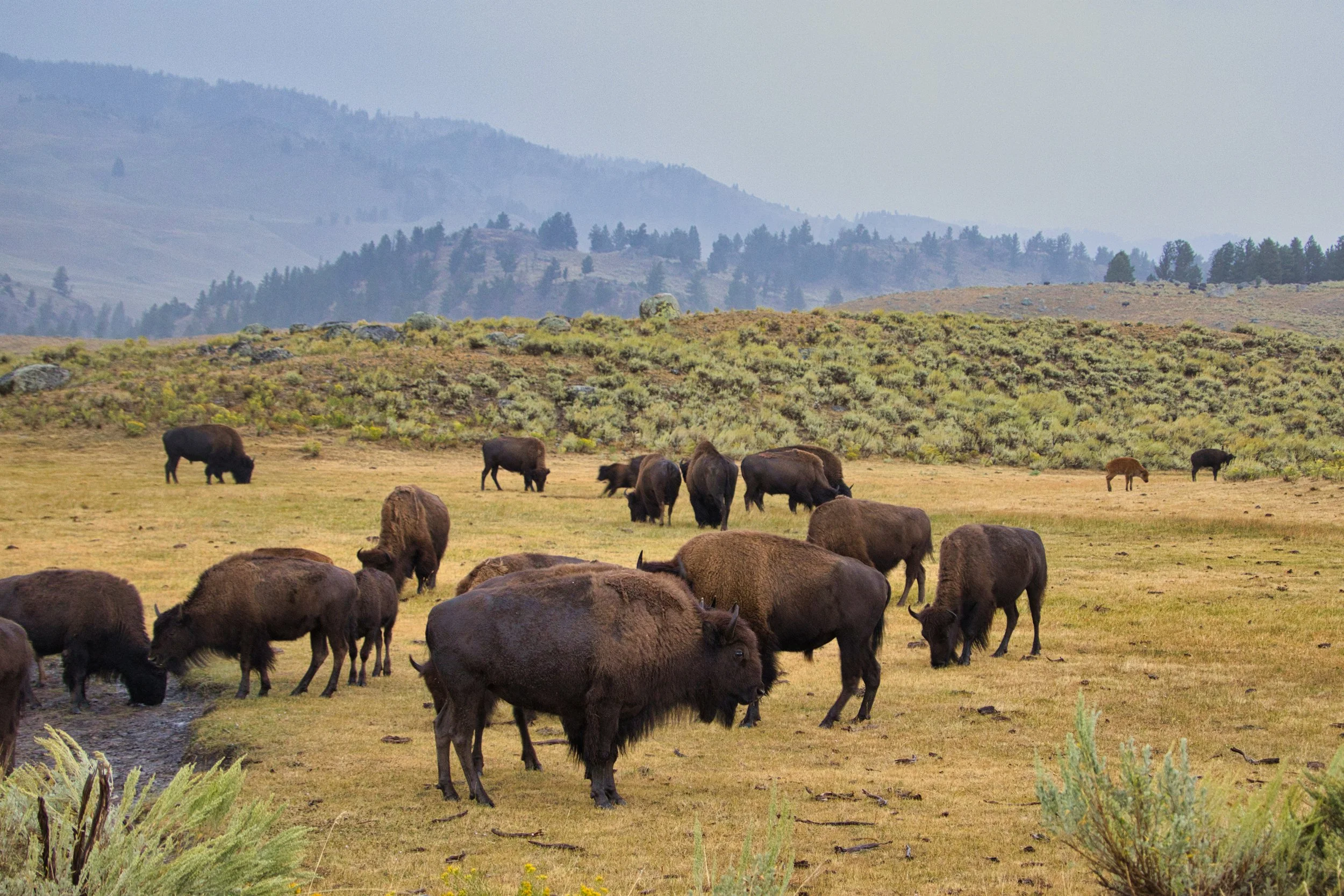 _LA_7374-Evoto Edited.jpg