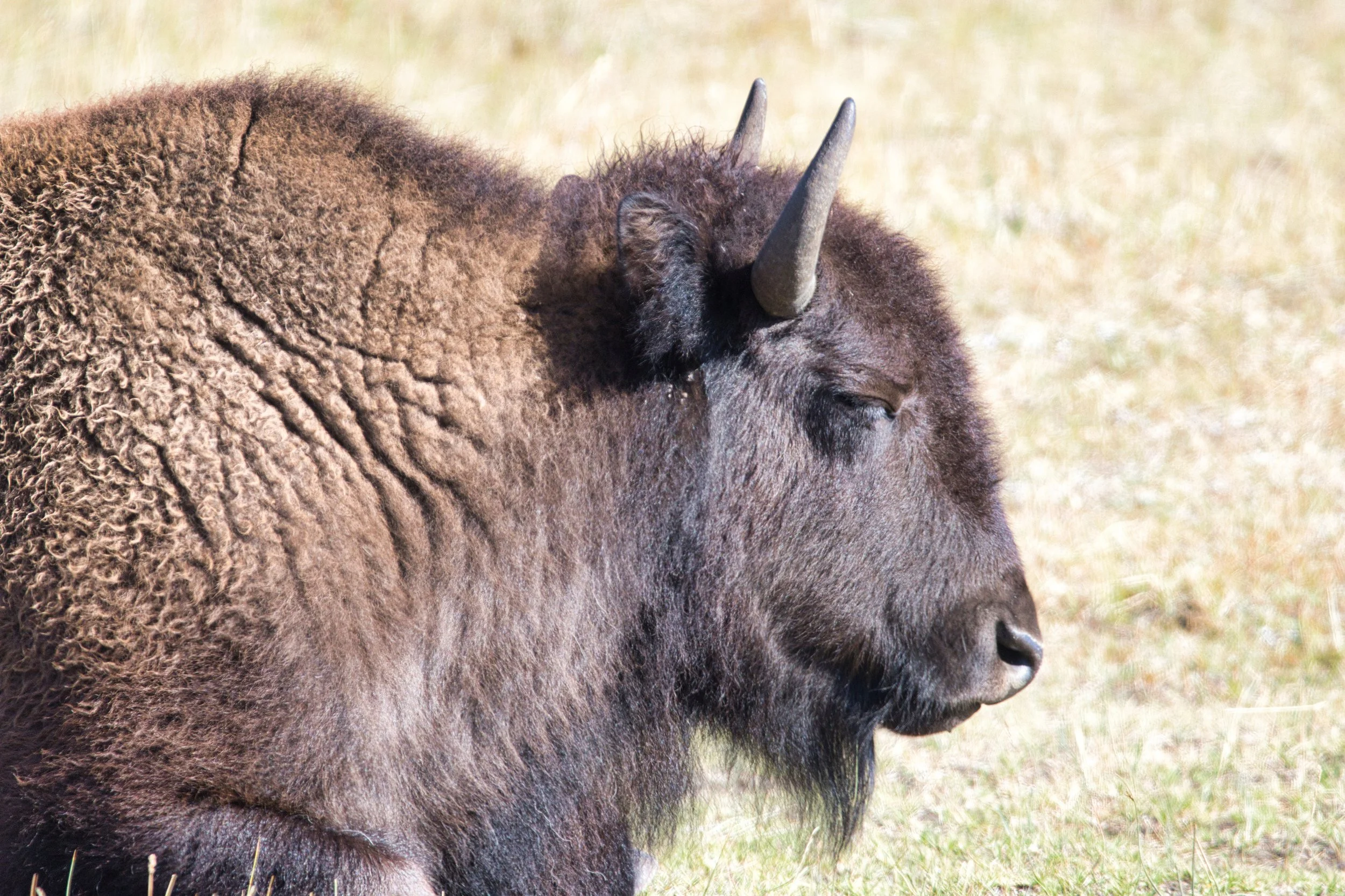 _LA_7502-Evoto Edited.jpg